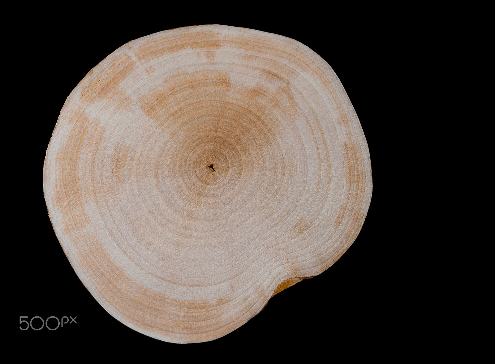 Canon EF-S 24mm F2.8 STM sample photo. Saw cut alder on a black background photography