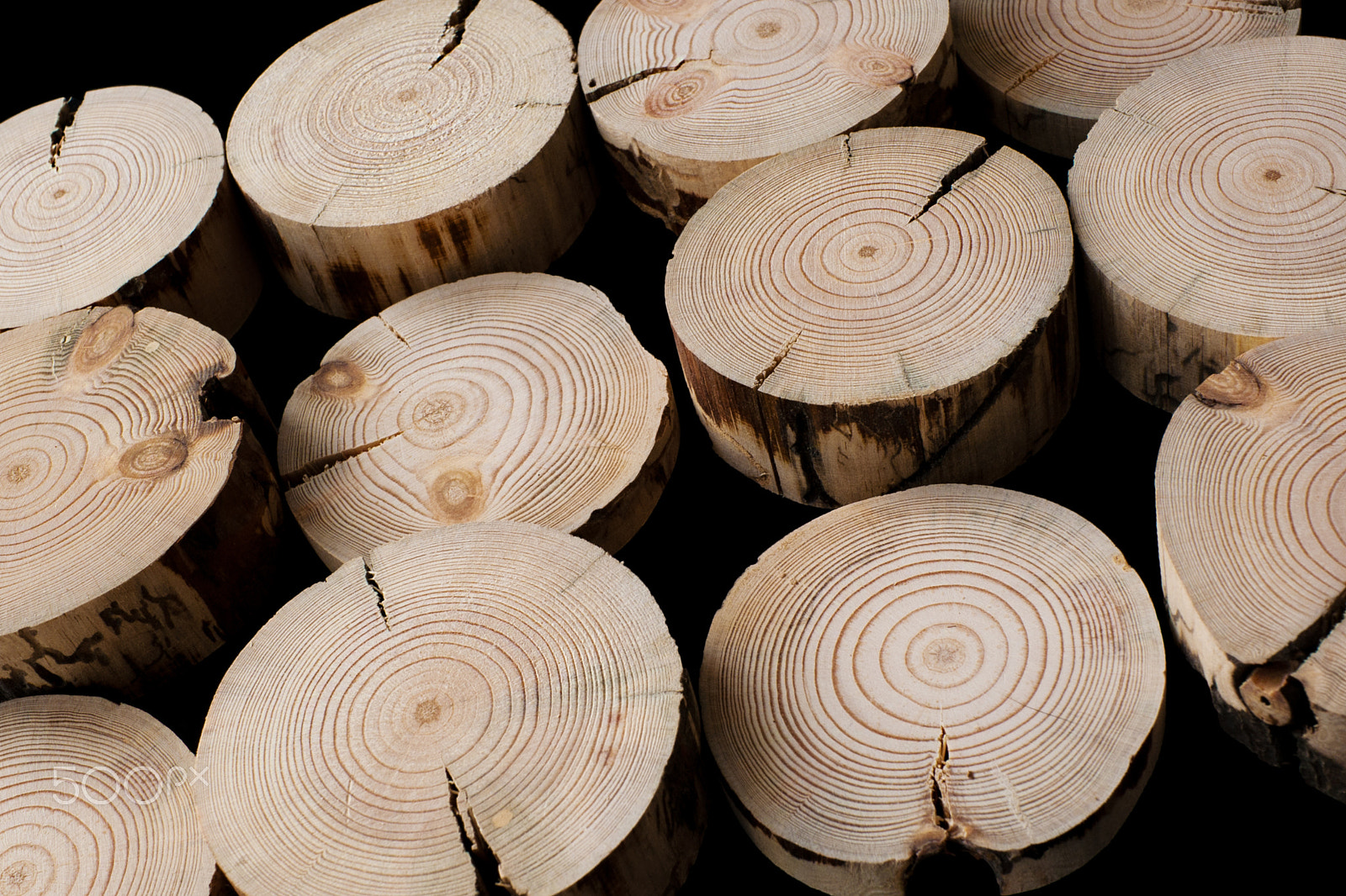 Canon EF-S 24mm F2.8 STM sample photo. Cracked saw cuts pine trees on a black background photography