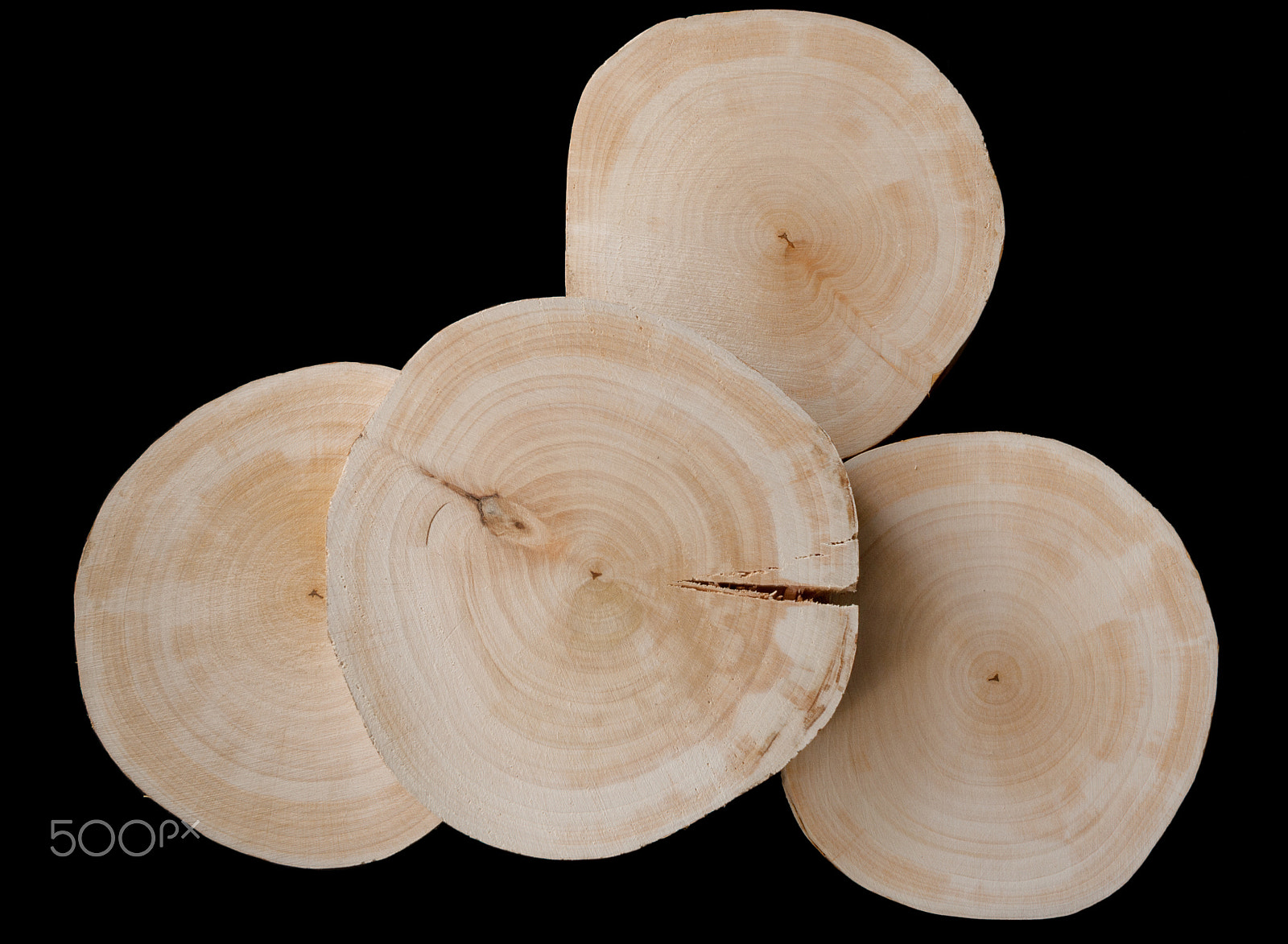 Canon EF-S 24mm F2.8 STM sample photo. The composition of the four saw cut alder on a black background photography