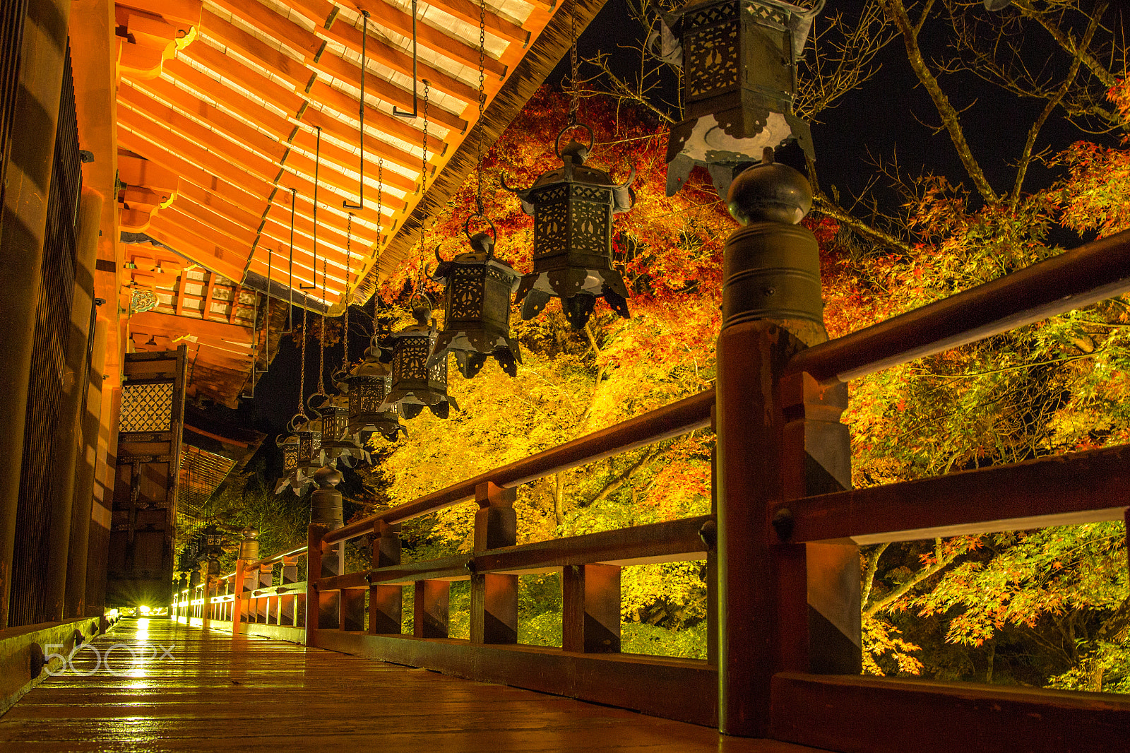 Sigma 24-35mm F2 DG HSM Art sample photo. Img photography