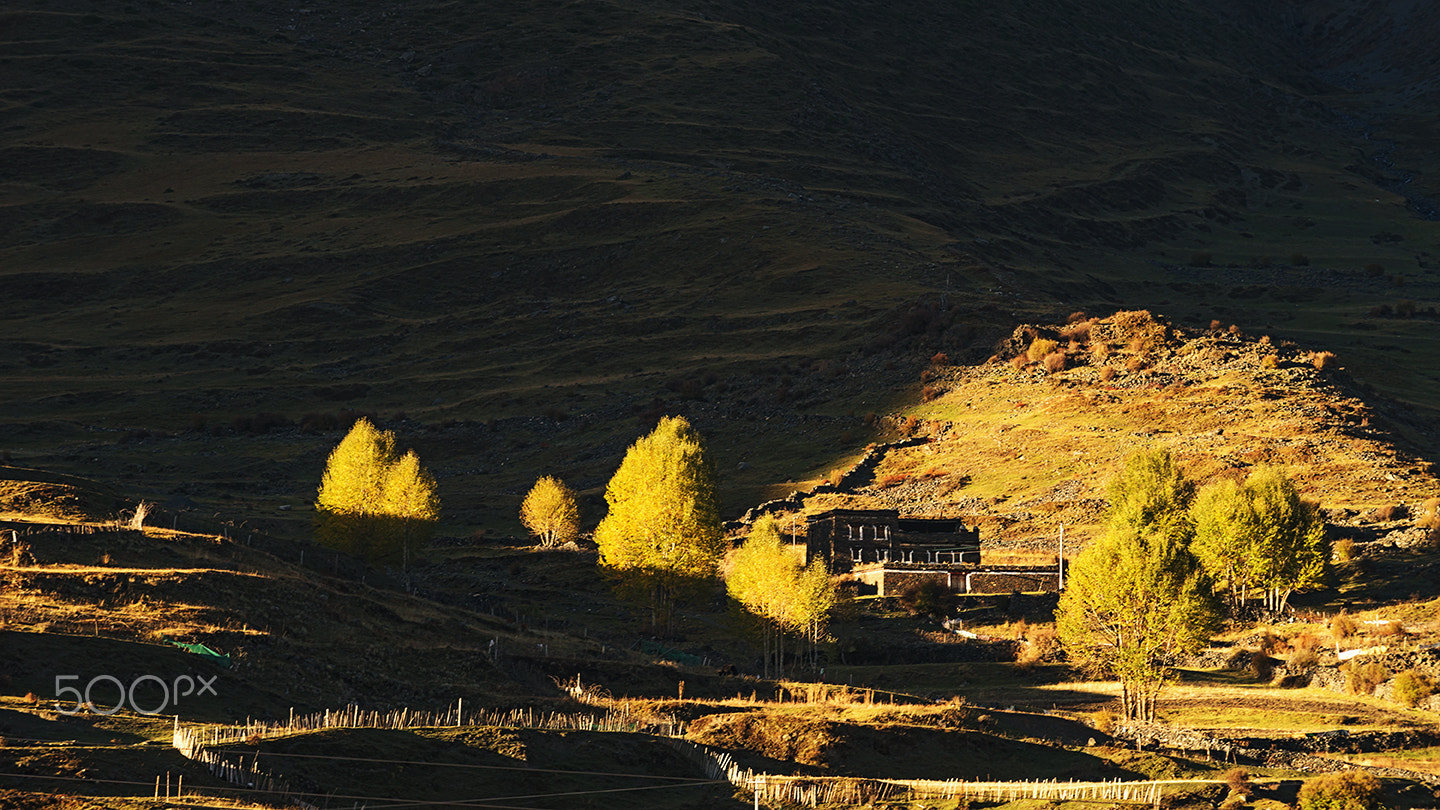 Sony a99 II sample photo. Autumn sunset photography