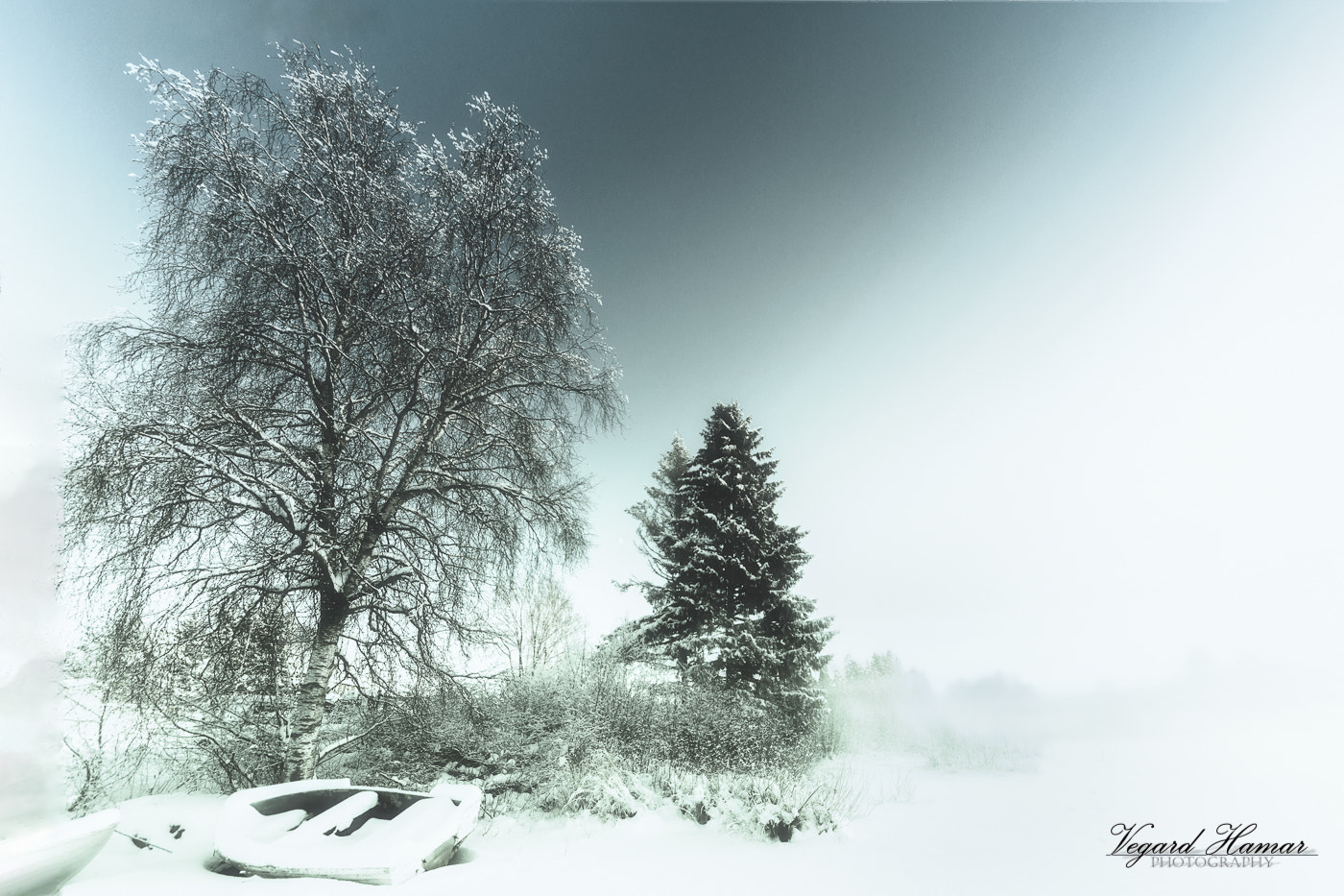 Nikon D7100 sample photo. Winter day- frost mist photography