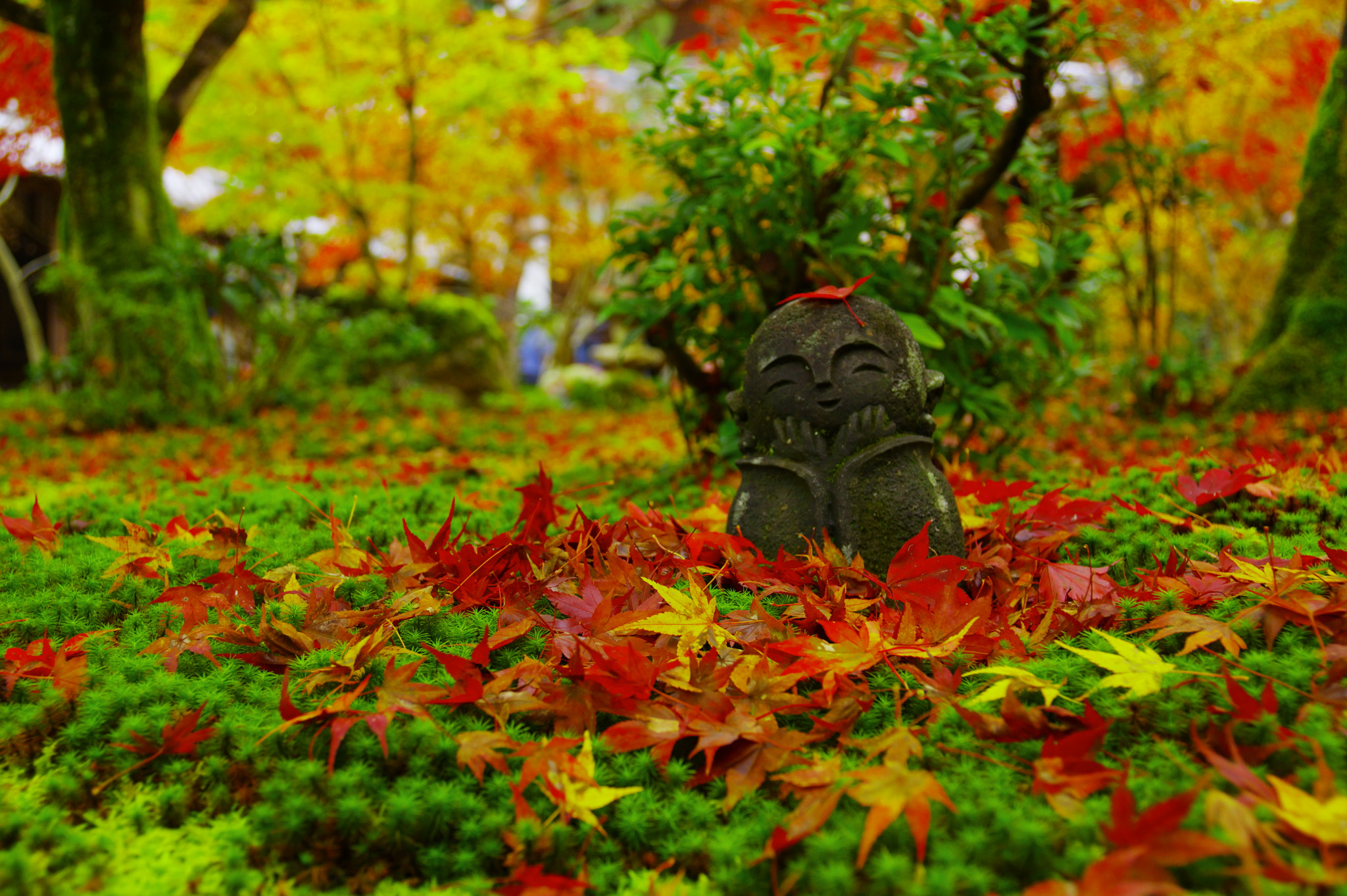 Pentax K-3 II sample photo. Enkouji's jizo and maples photography