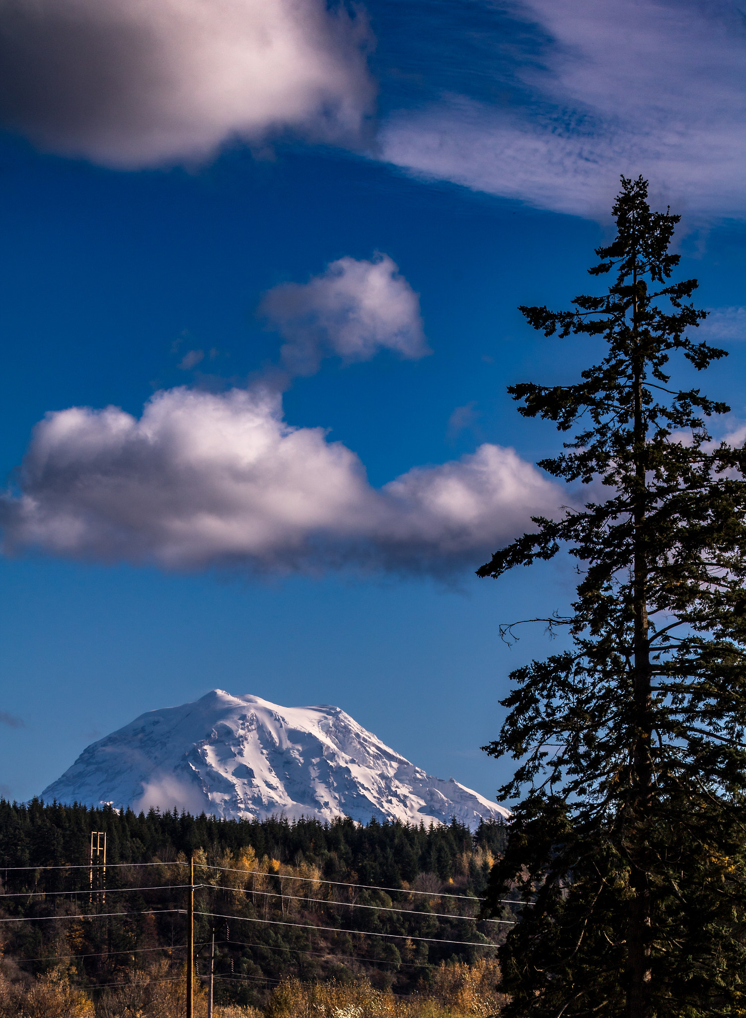 Canon EF 100-400mm F4.5-5.6L IS USM sample photo. Mt. rainier photography