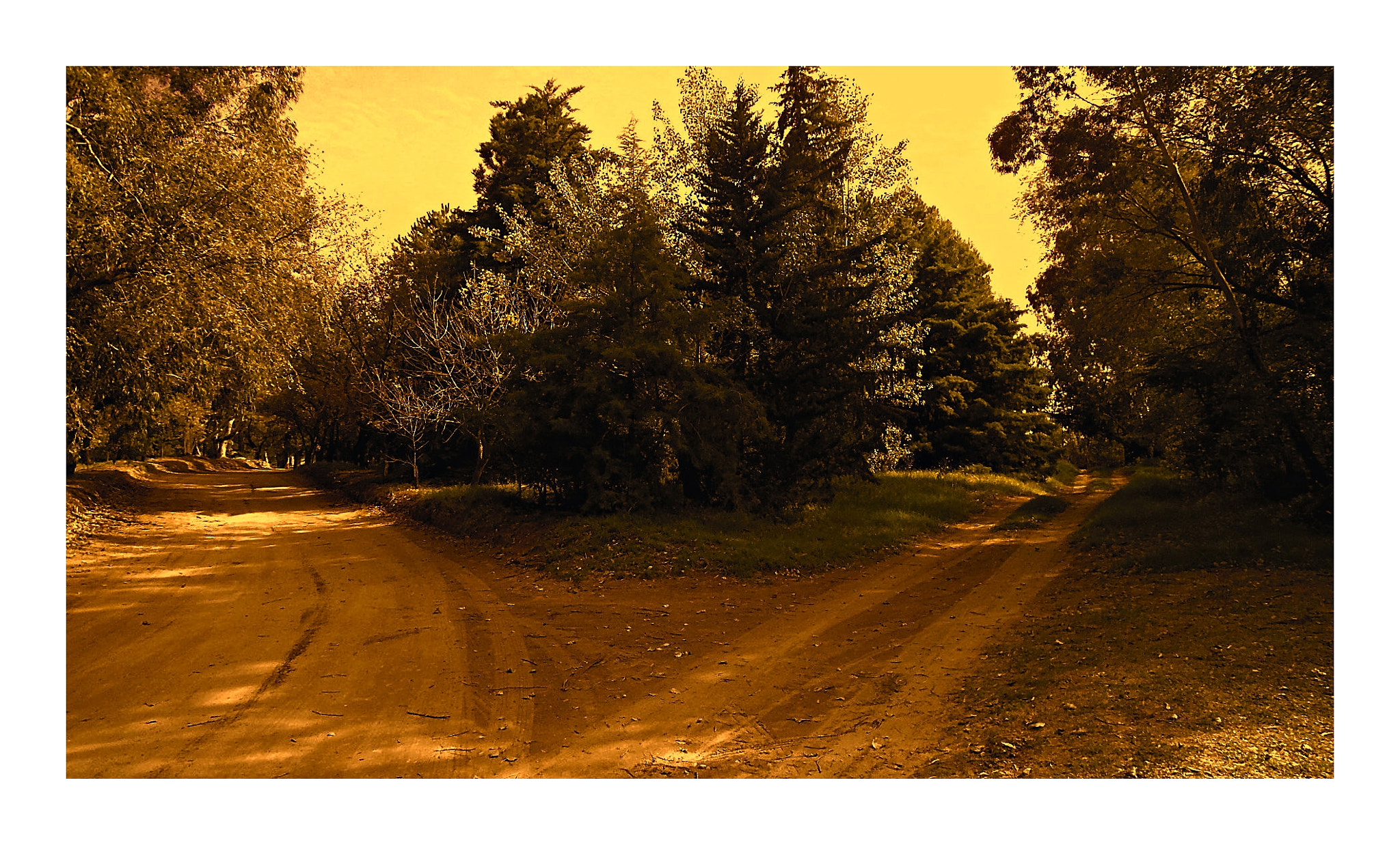 Sony Cyber-shot DSC-W330 sample photo. Crepúsculo en el bosque photography
