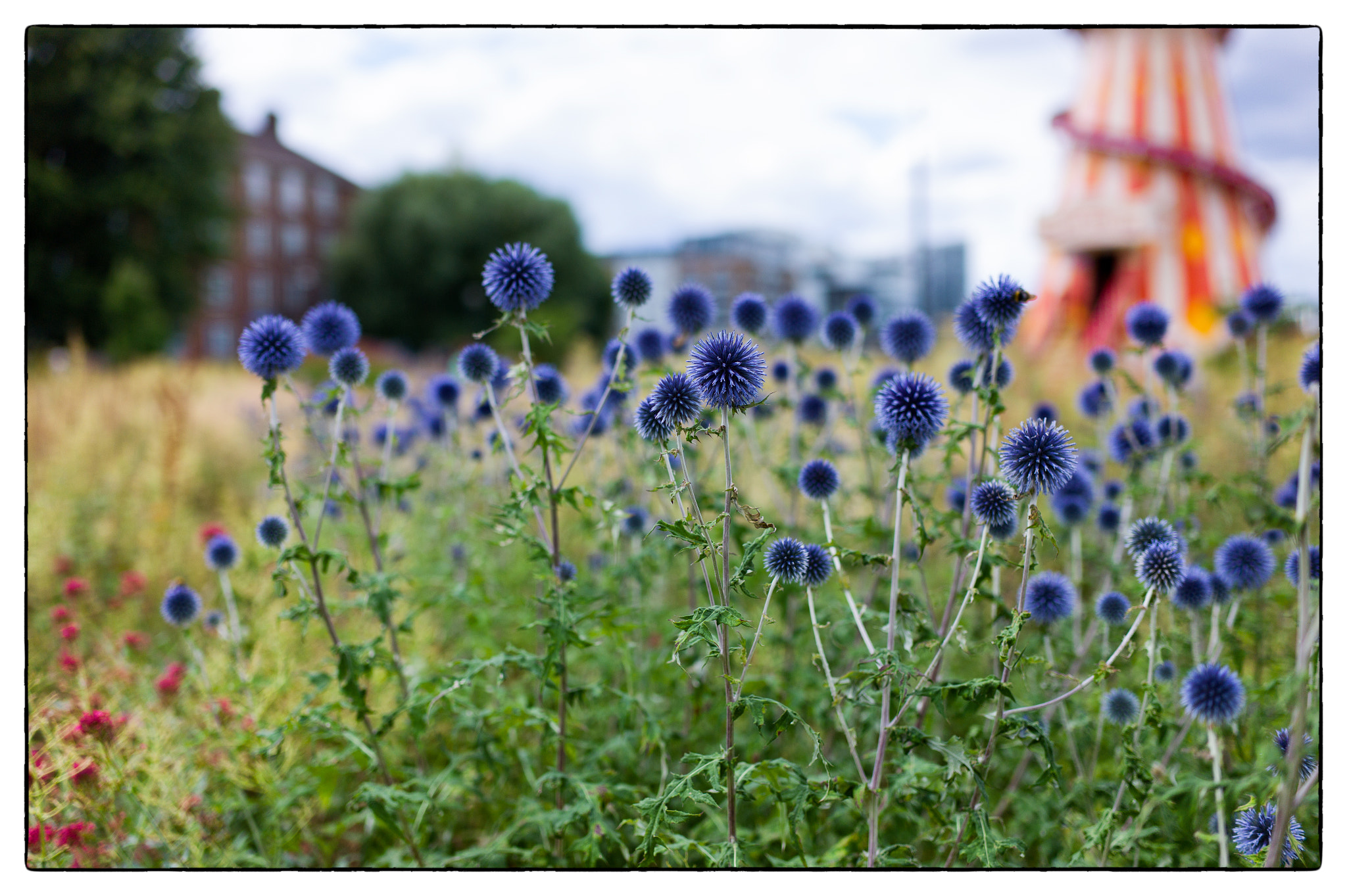 Leica M9 + Leica Summilux-M 35mm F1.4 ASPH sample photo. Greenwich, england photography