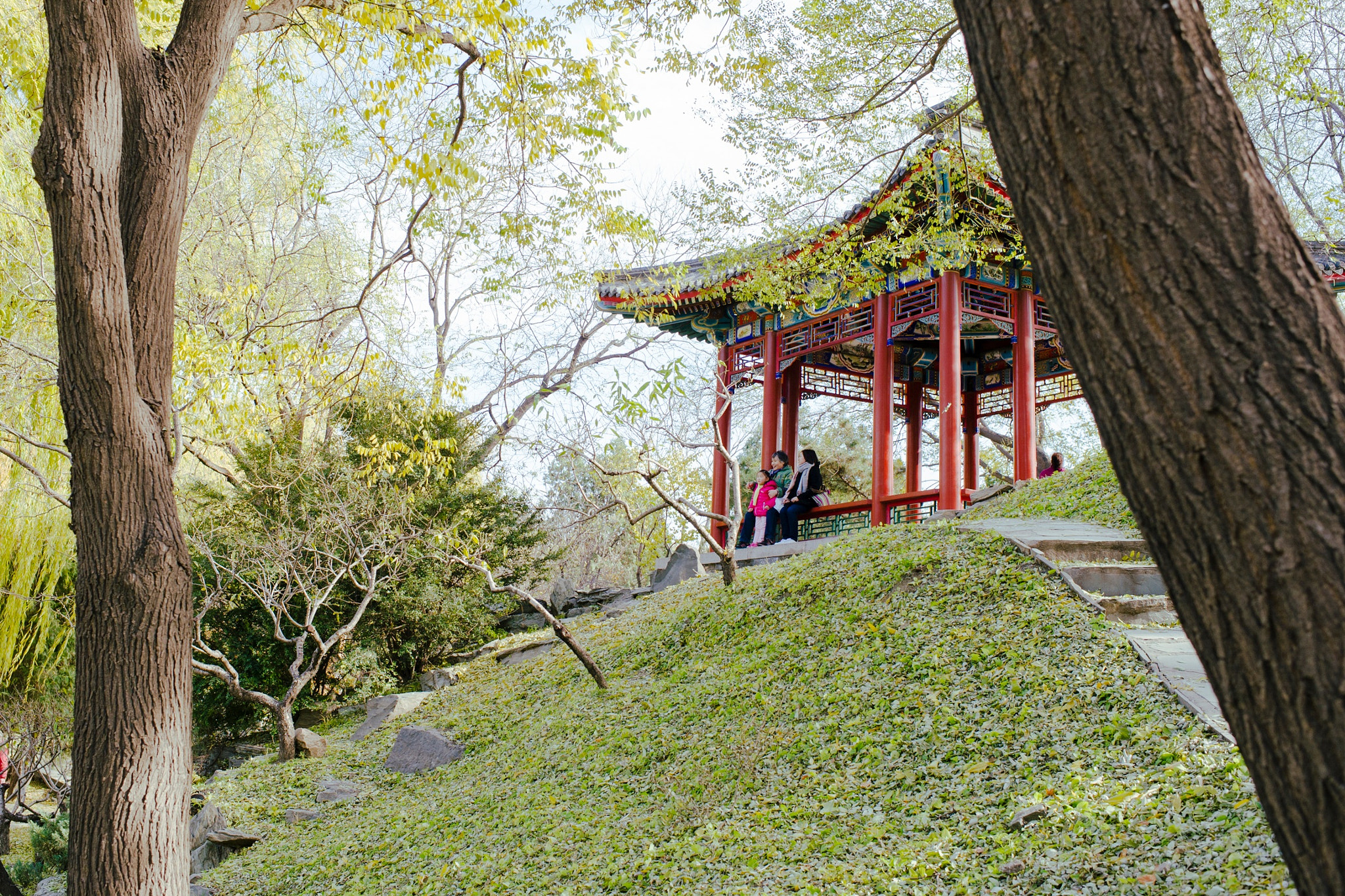 Nikon D3S + Nikon AF-S Nikkor 35mm F1.4G sample photo. 圆明园 photography