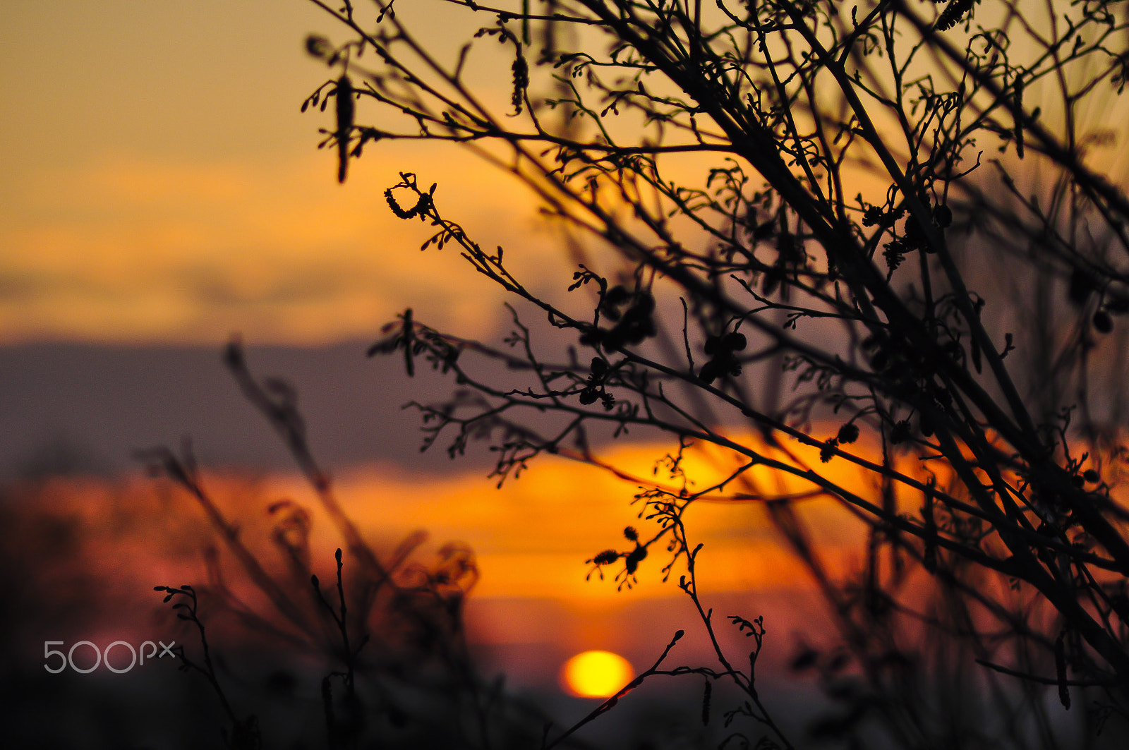 Nikon D5000 sample photo. Warm autumn glow photography