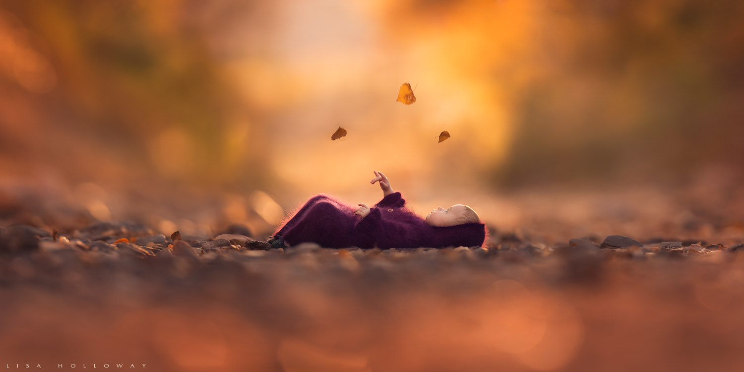Canon EF 400mm f/2.8L sample photo. Sylvie's autumn photography