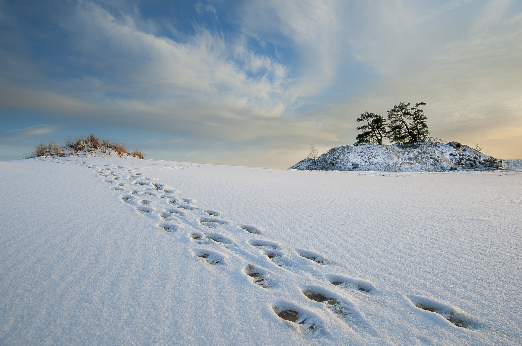 Nikon D700 sample photo. Snow walk ...... photography