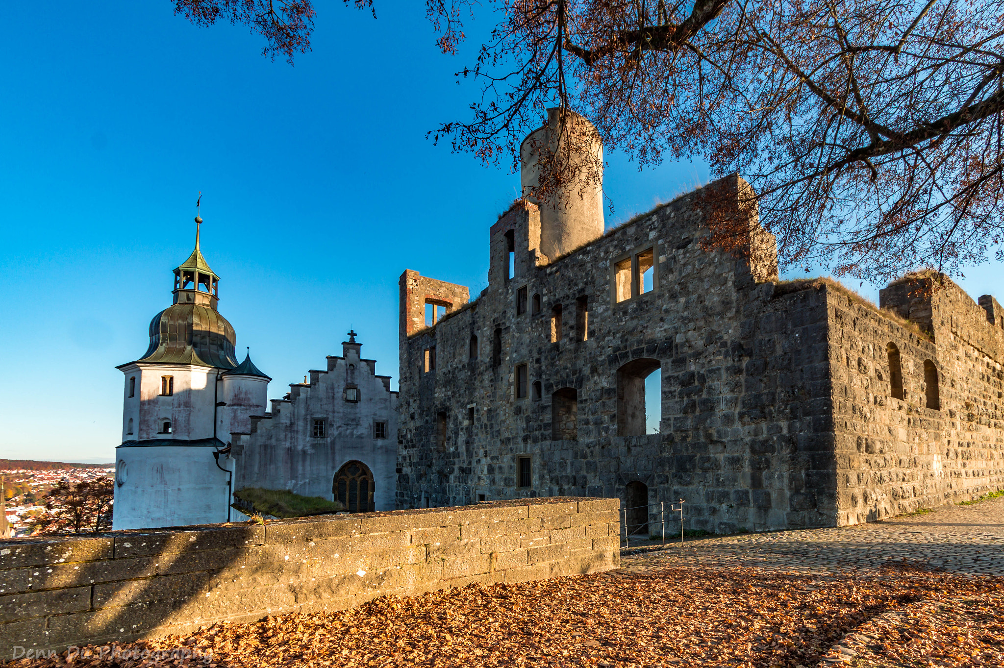 Sony SLT-A58 sample photo. Schloss hellenstein photography