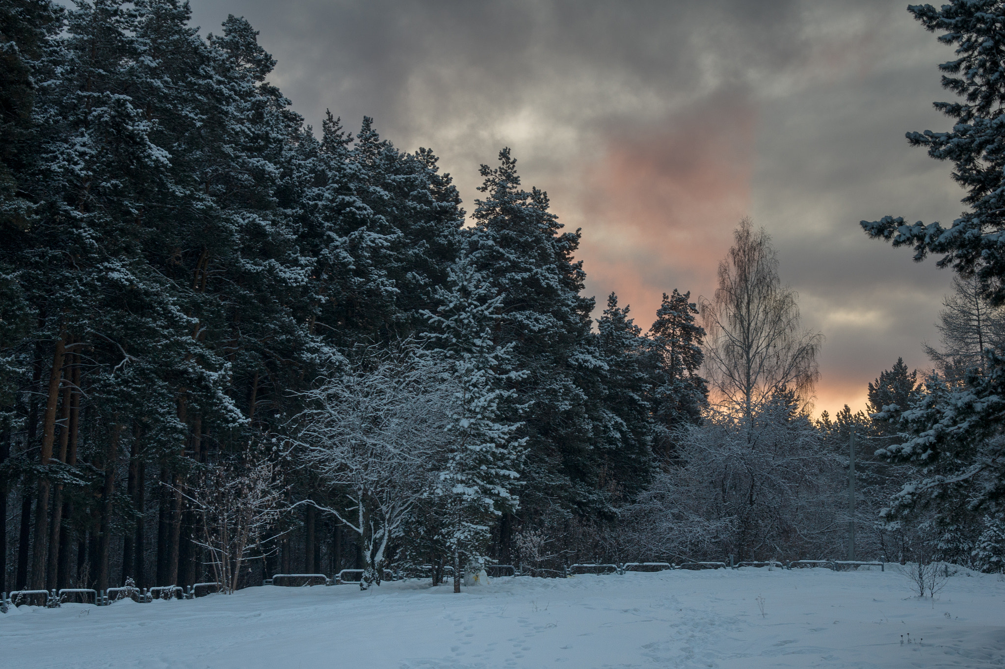 Sigma 28-70mm EX DG F2.8 sample photo. Winter morning photography