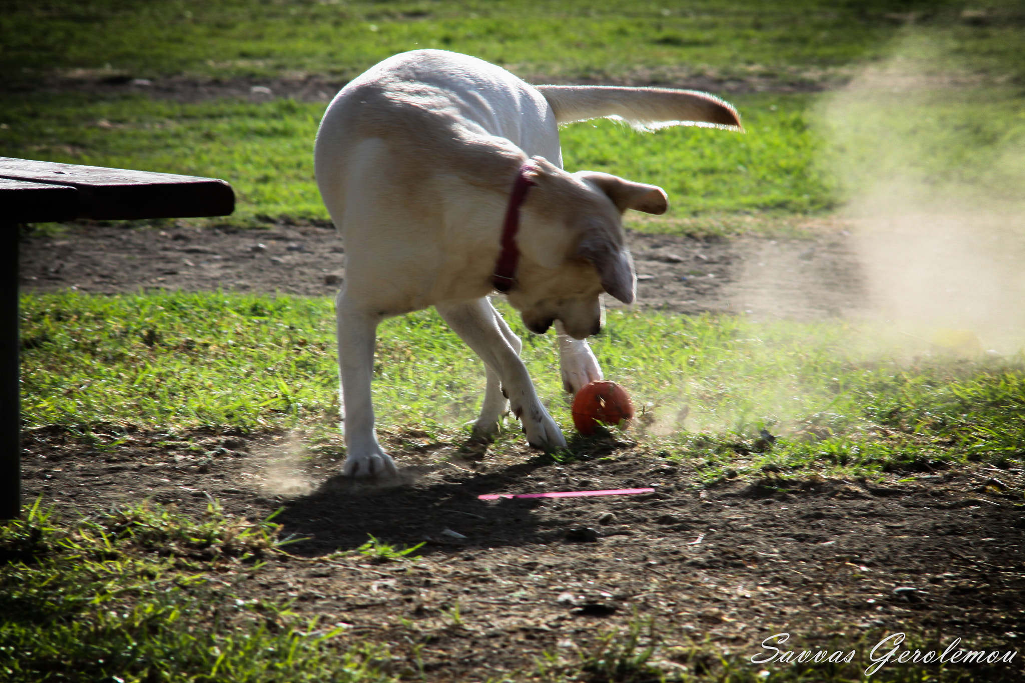 Canon EOS 50D + Canon EF 70-210mm f/4 sample photo. 20.jpg photography