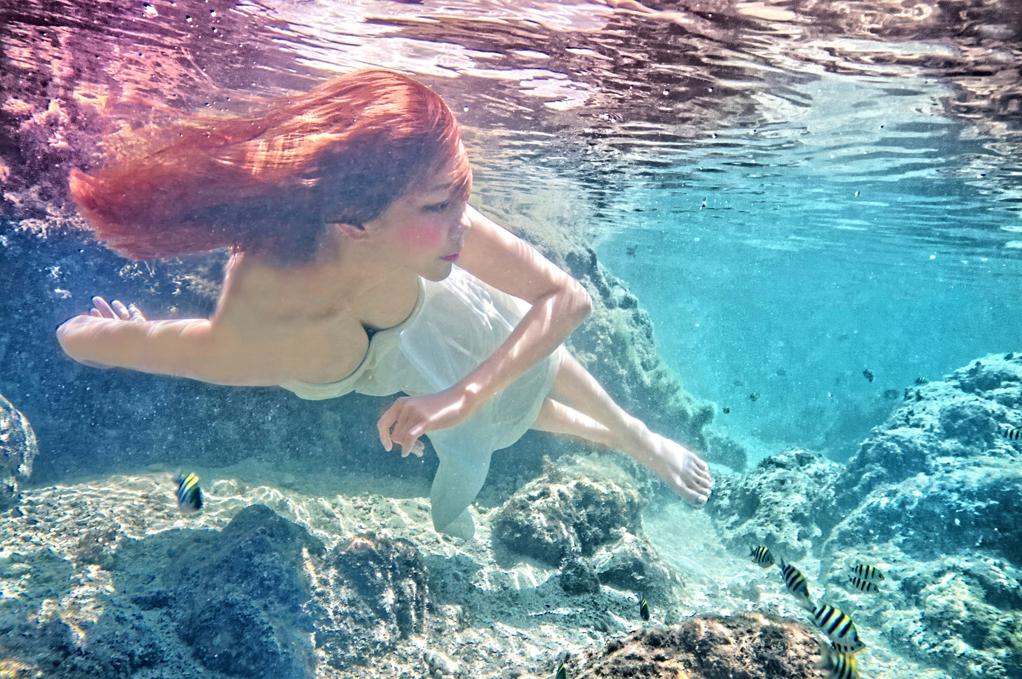 Nikon D300 sample photo. Underwater photography