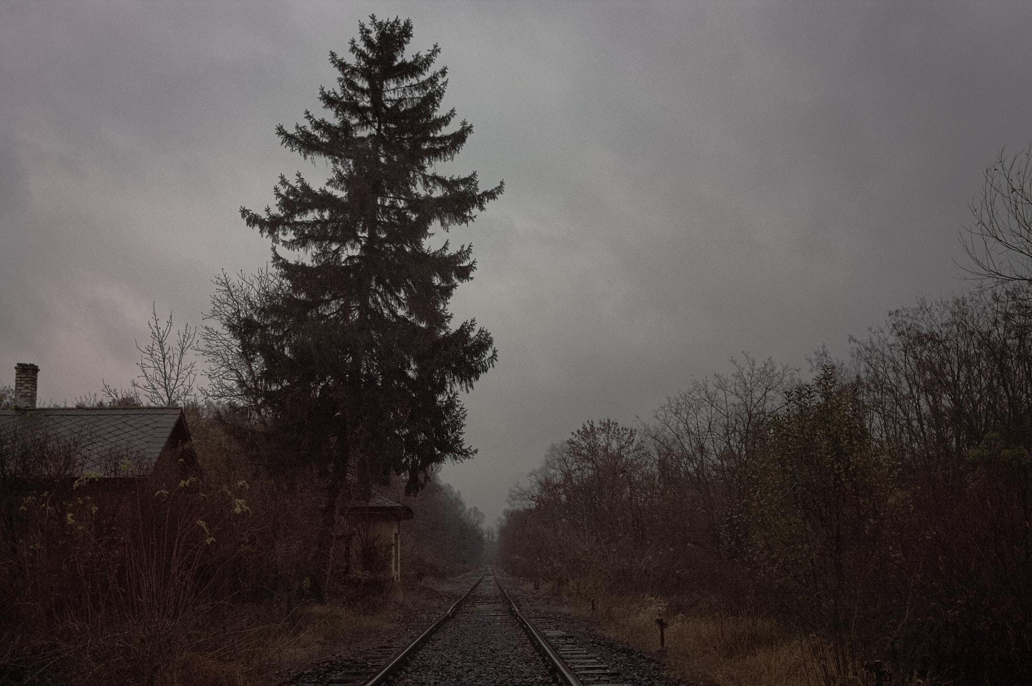 Canon EF 35-80mm f/4-5.6 sample photo. No train land photography