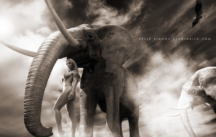 Amina & the Nude Elephants by Pelle Piano on 500px.com