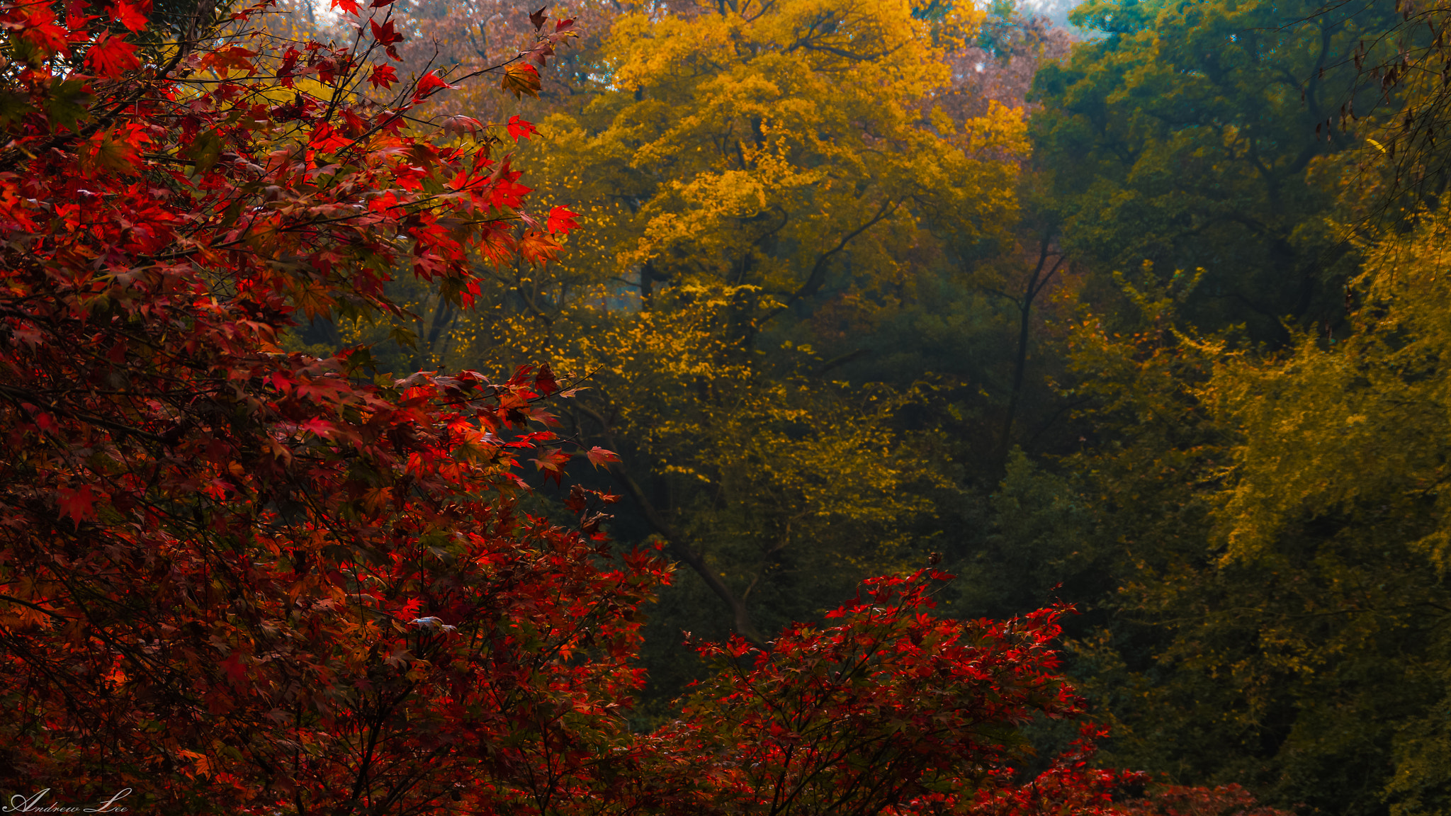 Pentax K-50 sample photo