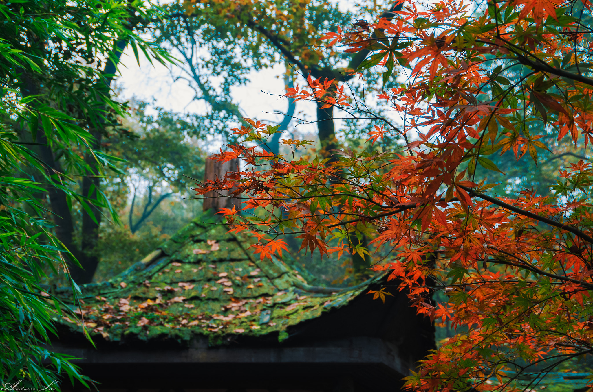 Pentax K-50 sample photo