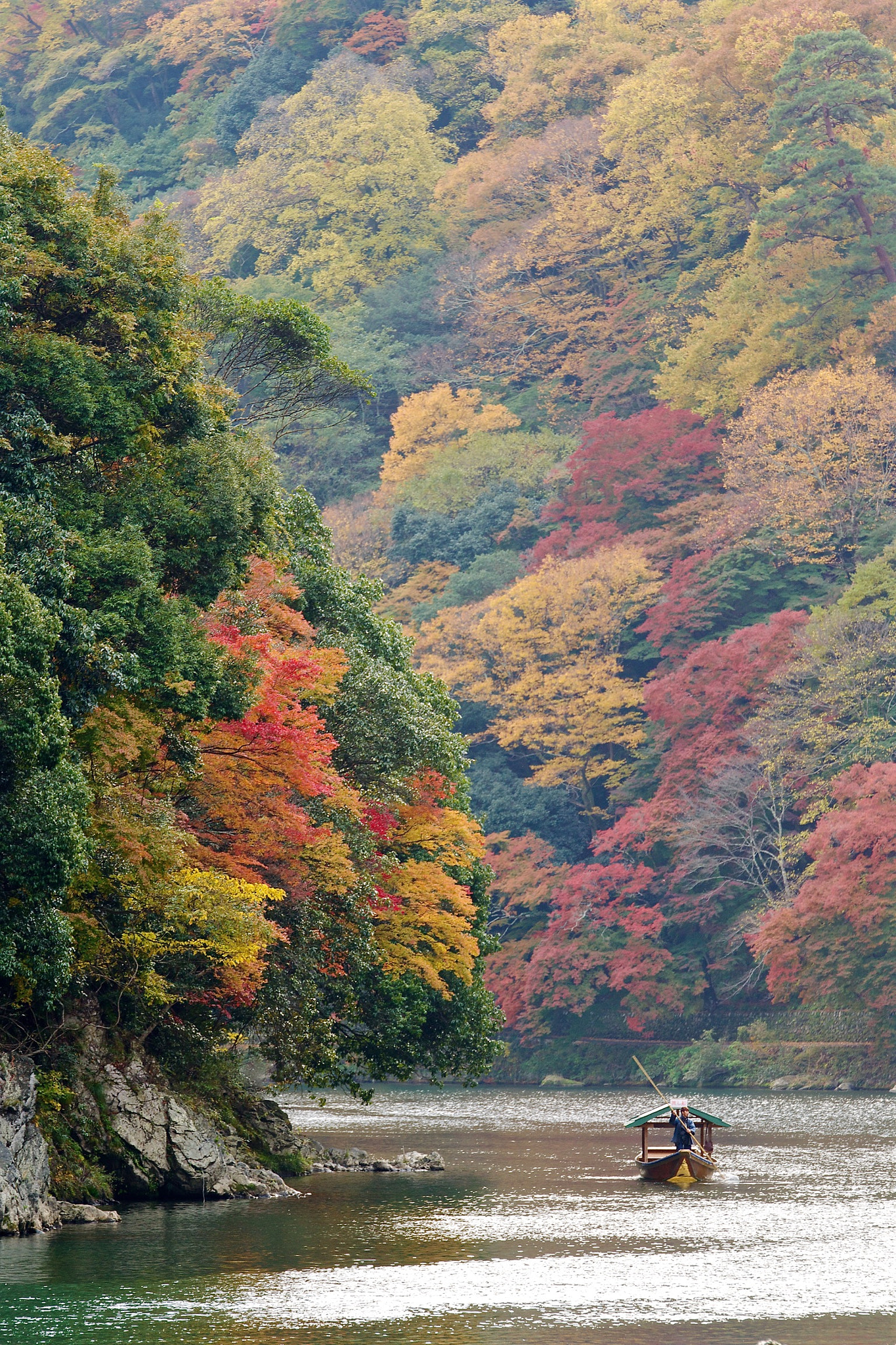 Sony SLT-A77 sample photo. Through the autumn photography