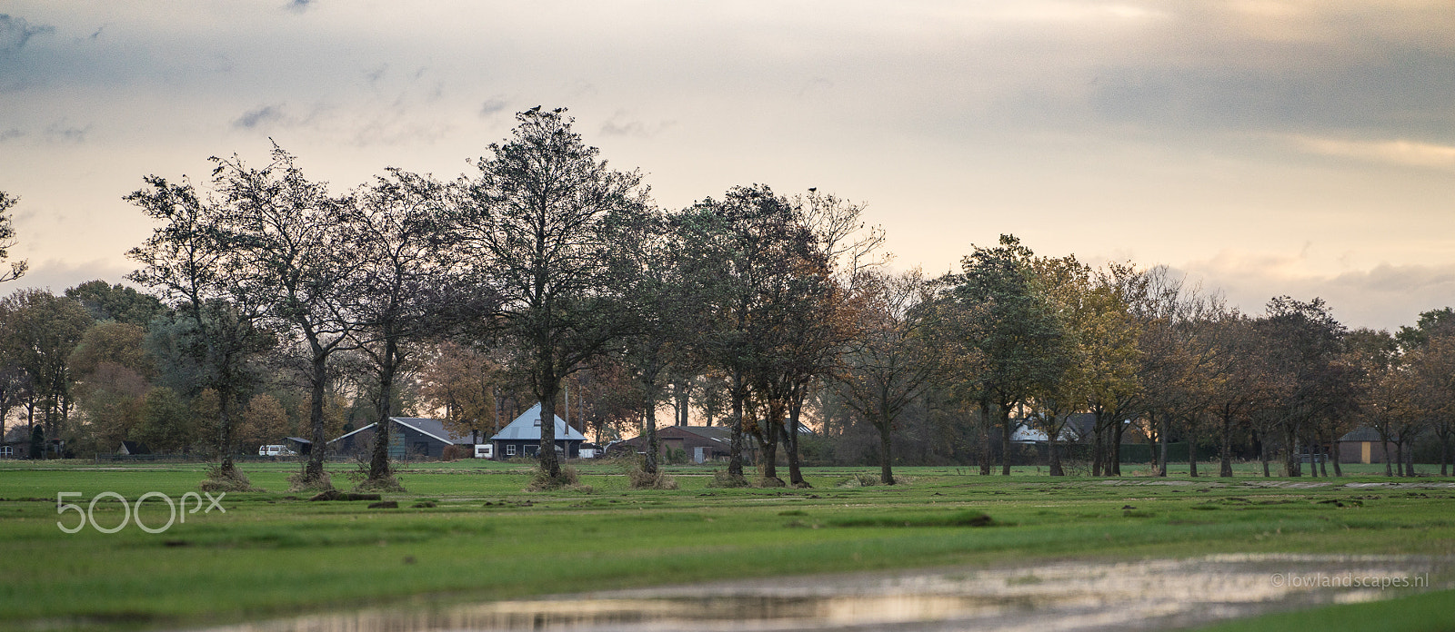 Sony a7R + Sony FE 70-200mm F4 G OSS sample photo. Wakkerendijk at sunrise photography