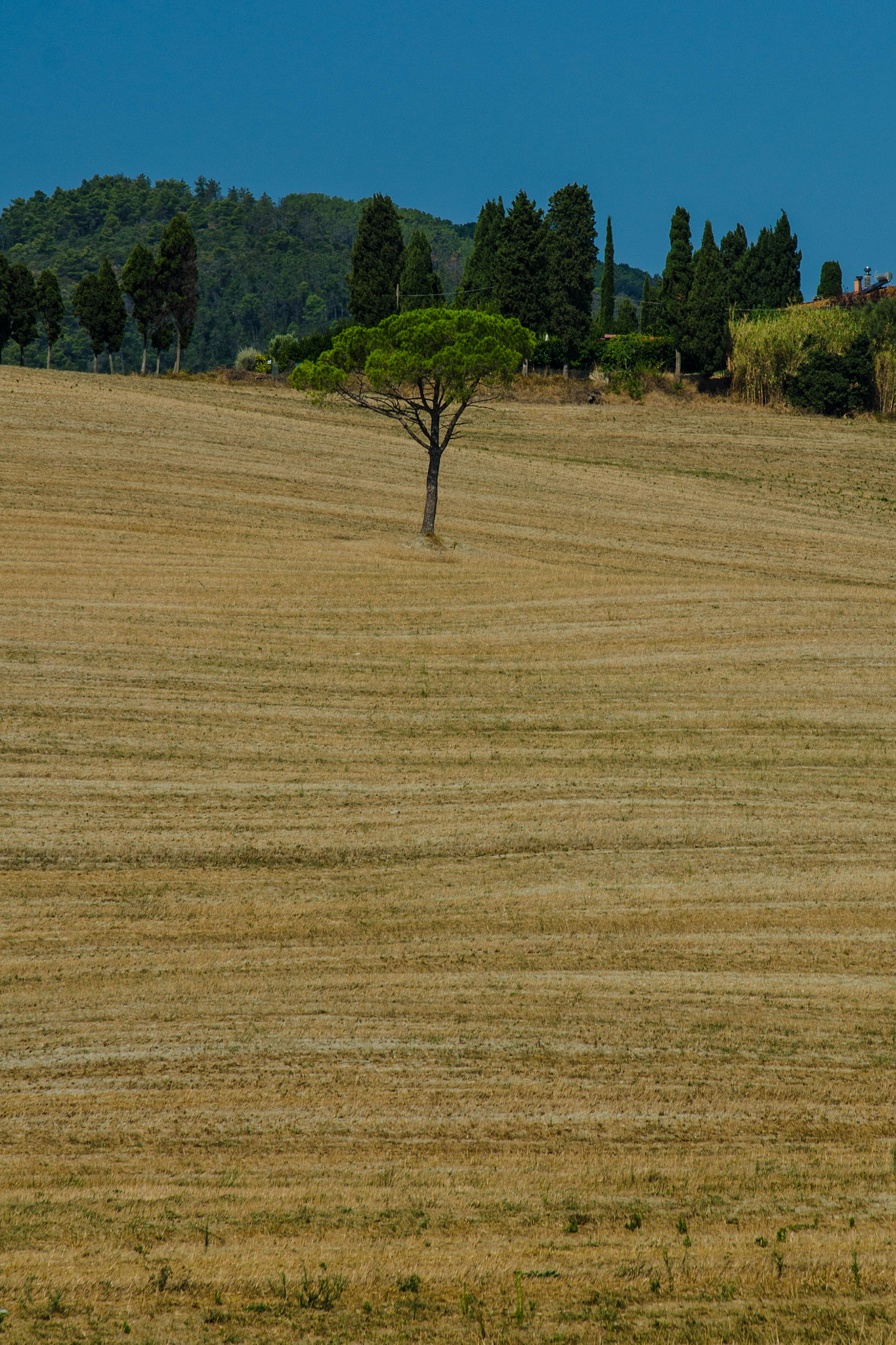 Nikon AF-S Nikkor 24-120mm F4G ED VR sample photo. Landscape photography