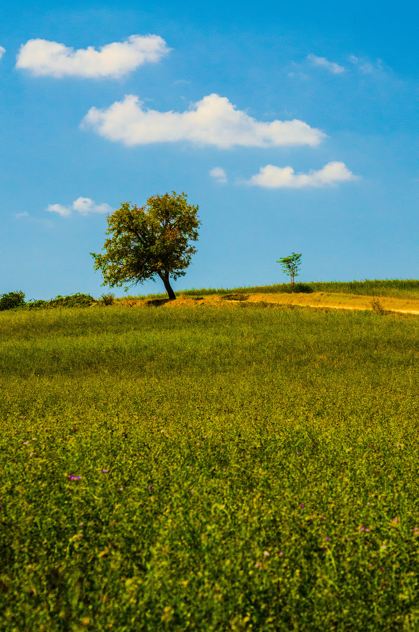 Nikon AF-S Nikkor 24-120mm F4G ED VR sample photo. Landscape photography
