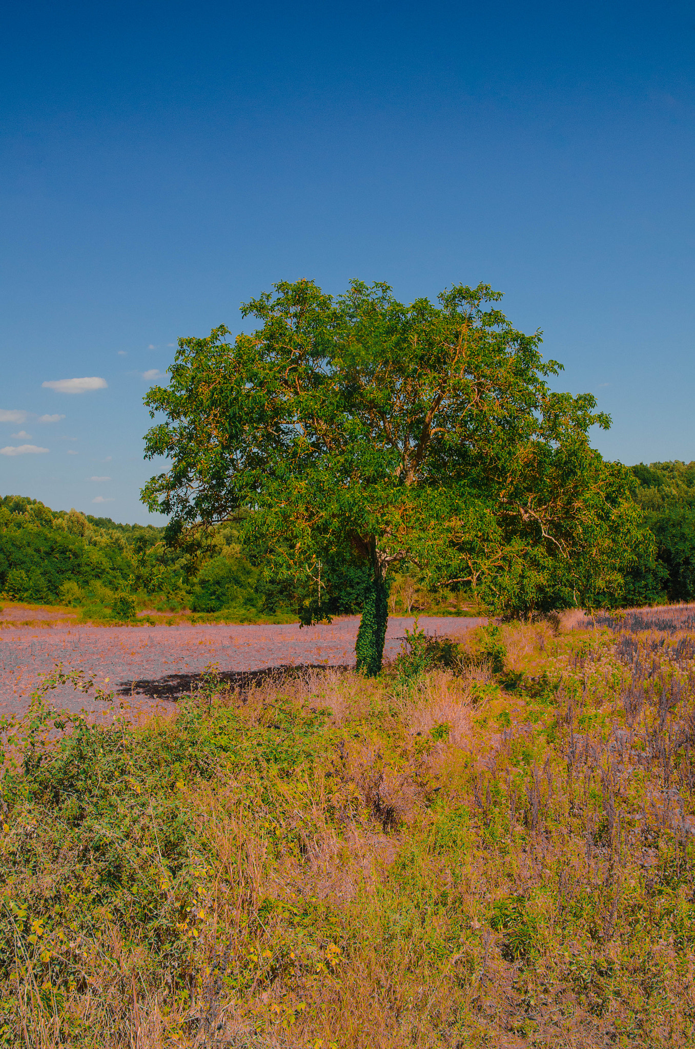 Nikon AF-S Nikkor 24-120mm F4G ED VR sample photo. Landscape photography