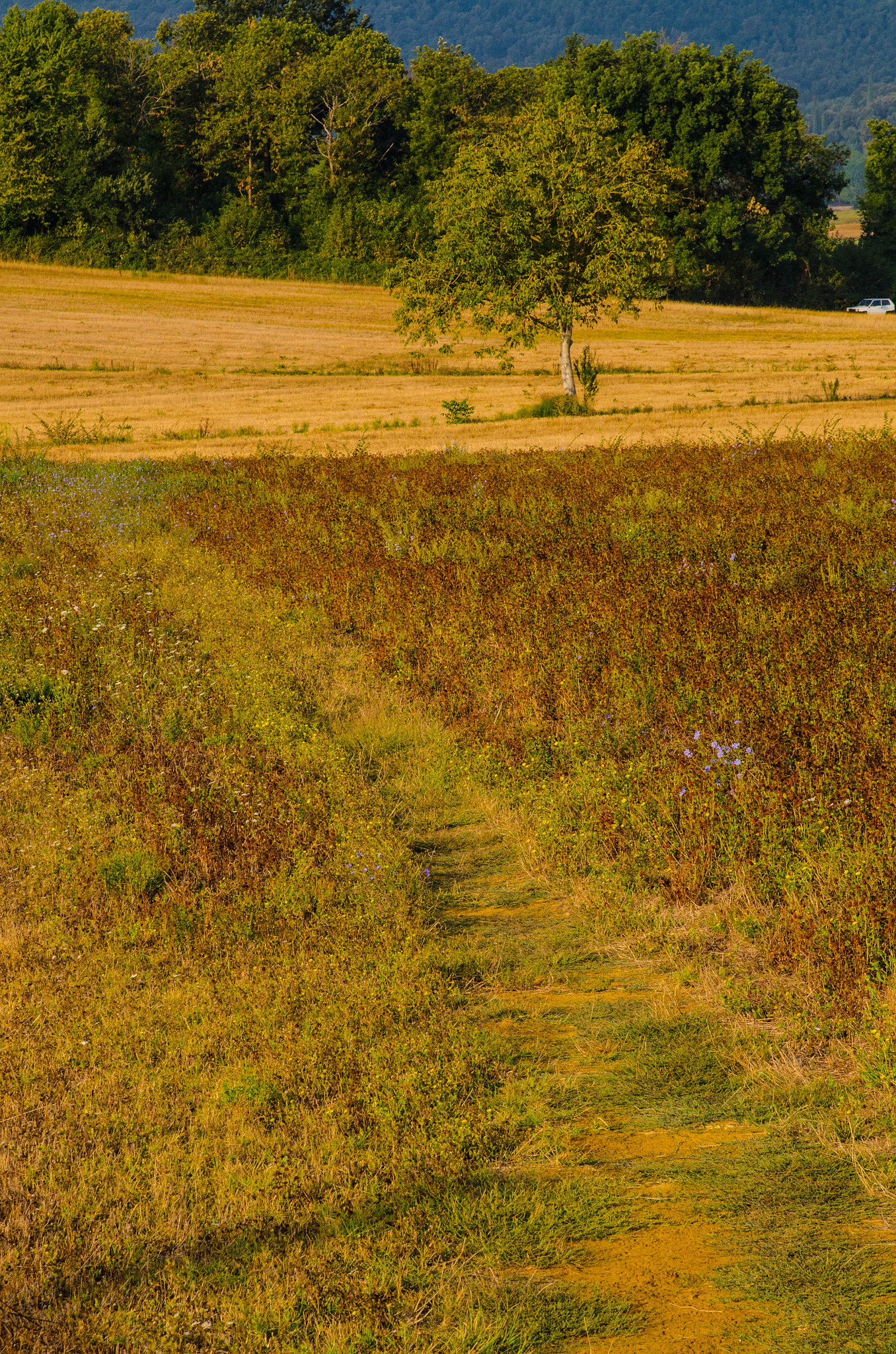 Nikon AF-S Nikkor 24-120mm F4G ED VR sample photo. Landscape photography