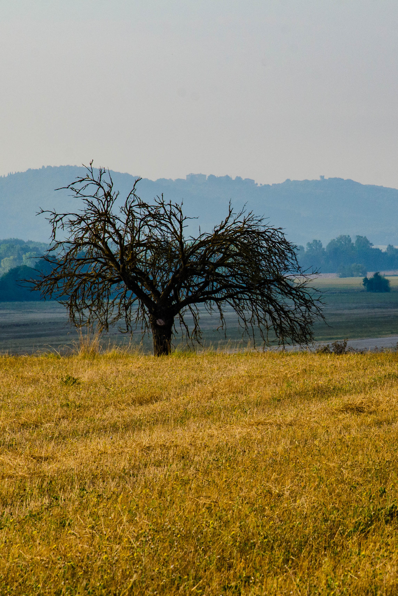 Nikon AF-S Nikkor 24-120mm F4G ED VR sample photo. Landscape photography