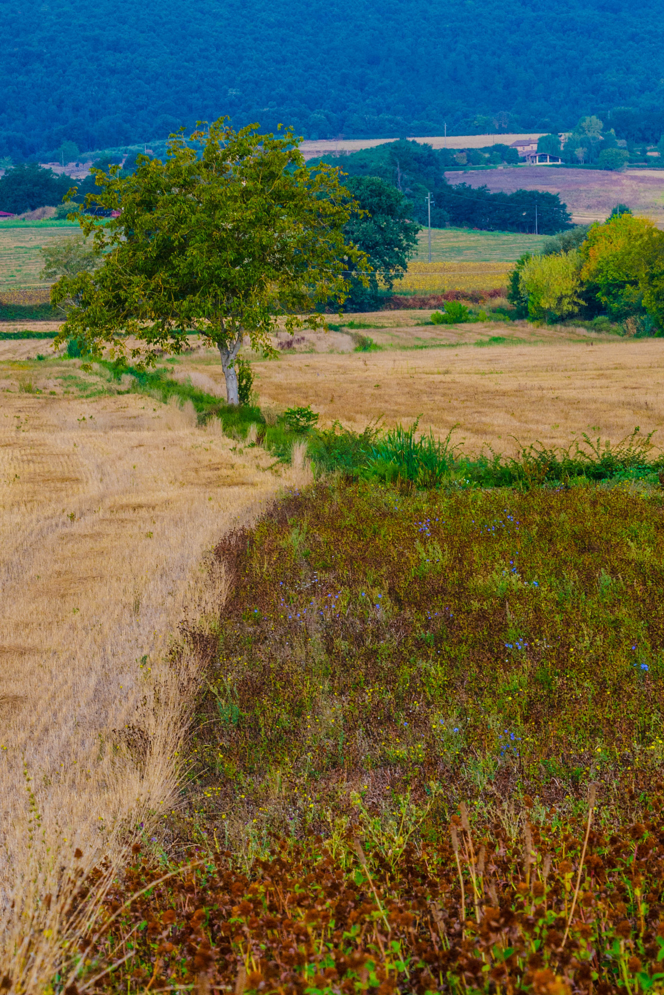 Nikon AF-S Nikkor 24-120mm F4G ED VR sample photo. Landscape photography