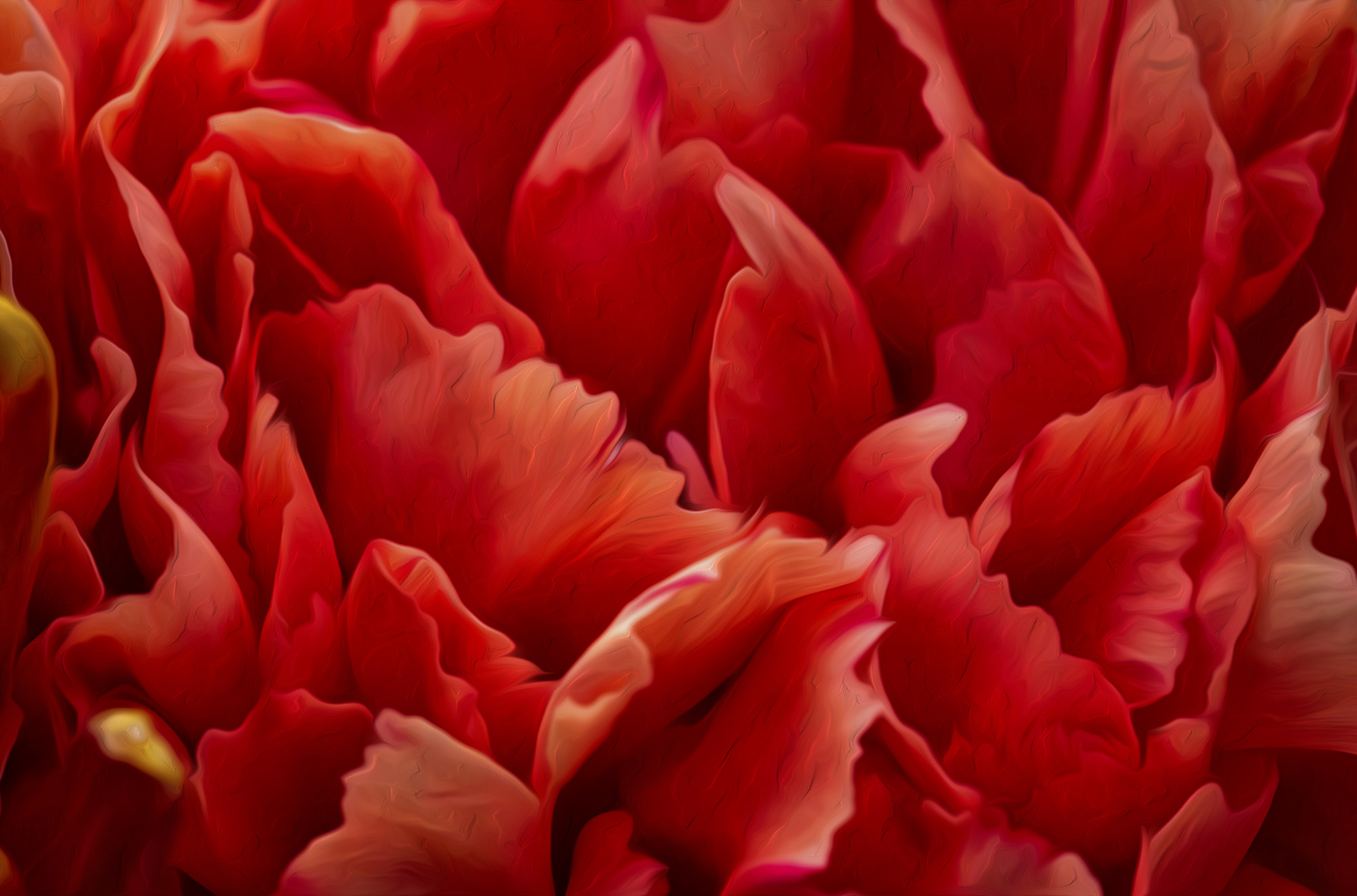 Sigma 150mm f/2.8 EX DG OS HSM APO Macro sample photo. The bunch 5 photography