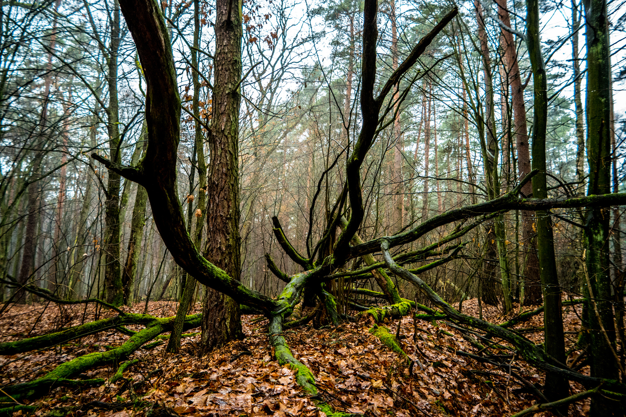 Samsung NX500 sample photo. Vortex photography