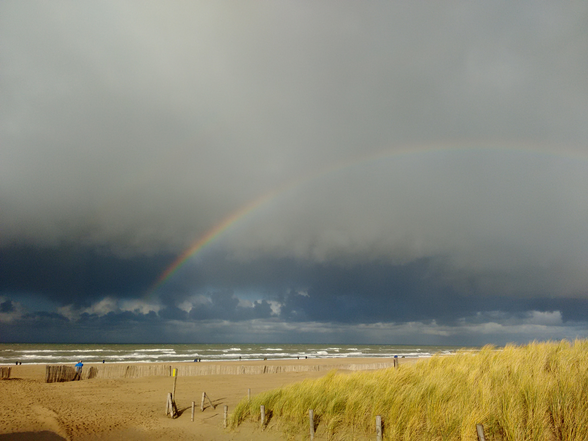 Motorola Moto G with 4G LTE (2nd Gen) sample photo. Rainbowsea photography