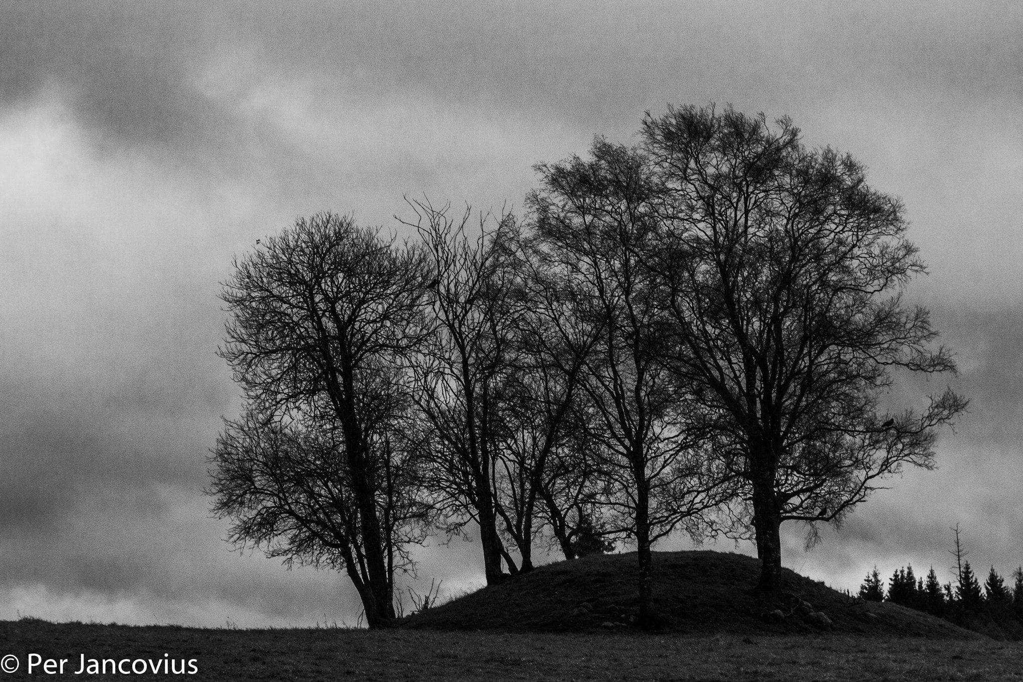 Canon EOS 40D + Tamron 16-300mm F3.5-6.3 Di II VC PZD Macro sample photo. A viking burial mound? photography