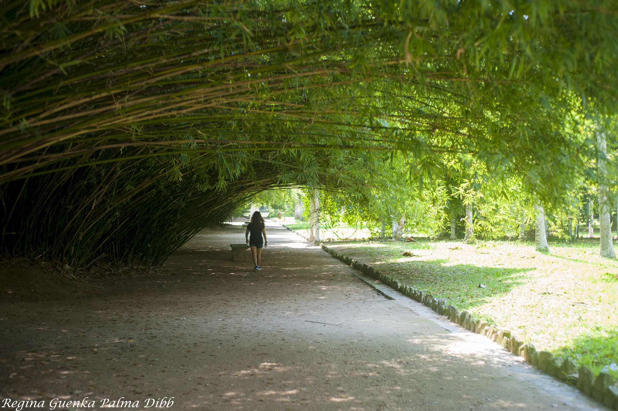 Nikon D700 sample photo. Rio de janeiro photography