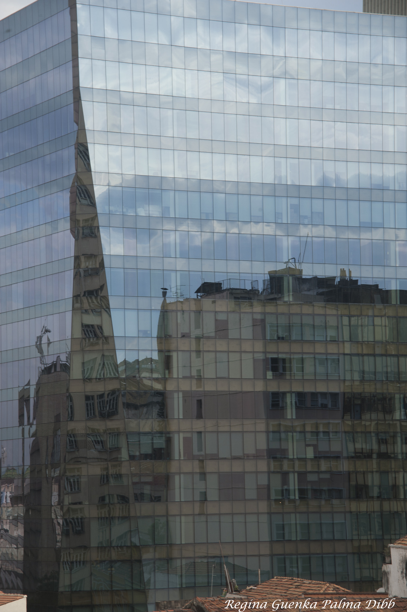 Sigma 28-300mm F3.5-6.3 DG Macro sample photo. Rio de janeiro photography