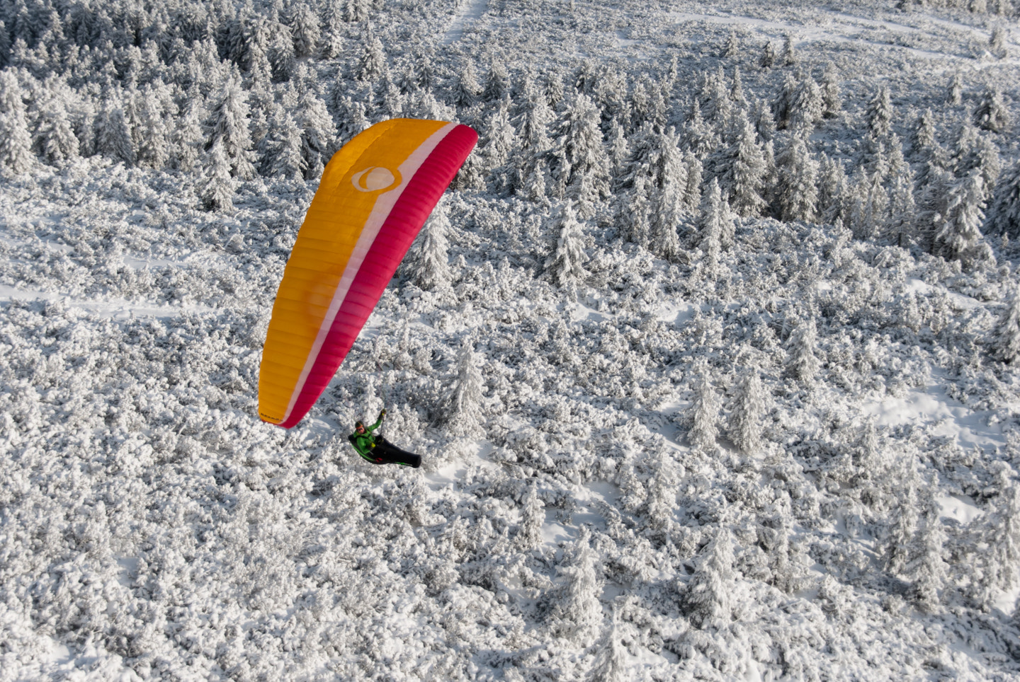 Nikon D80 + Sigma 18-200mm F3.5-6.3 DC sample photo. Paragliding in a winter-wonderland photography