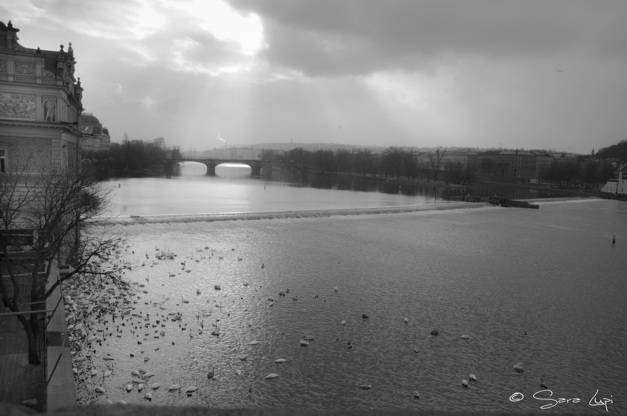 Nikon D5000 sample photo. Winter melody photography
