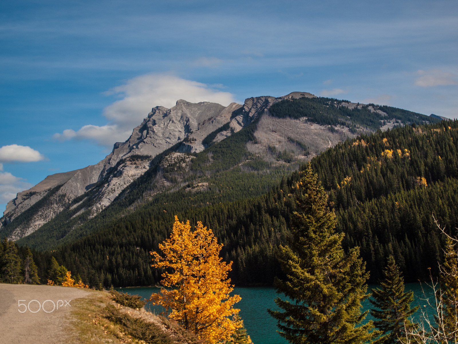 Olympus E-620 (EVOLT E-620) + OLYMPUS 14-42mm Lens sample photo. Fall colors begin photography