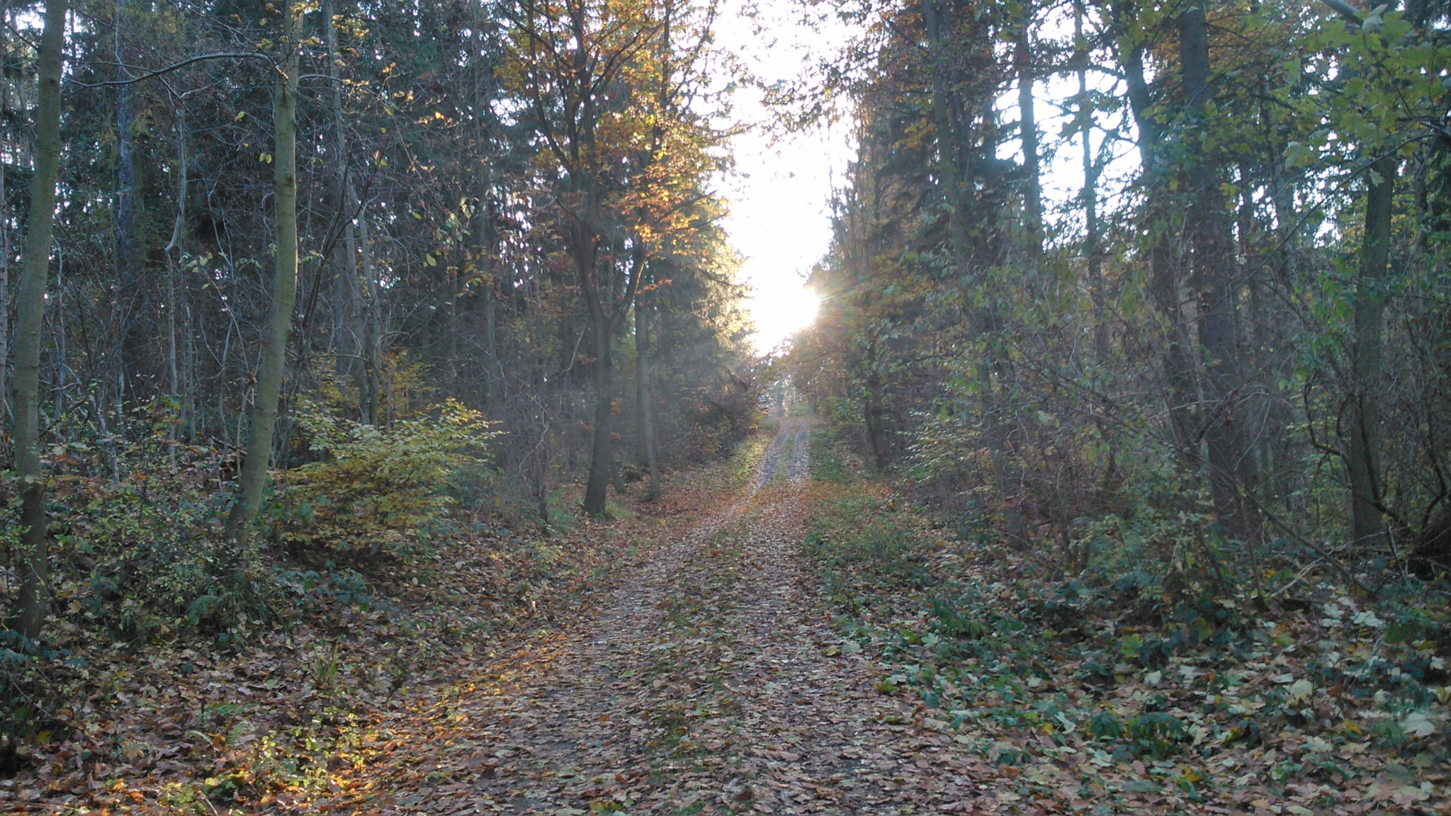 Sony Xperia L sample photo. A long long way  photography