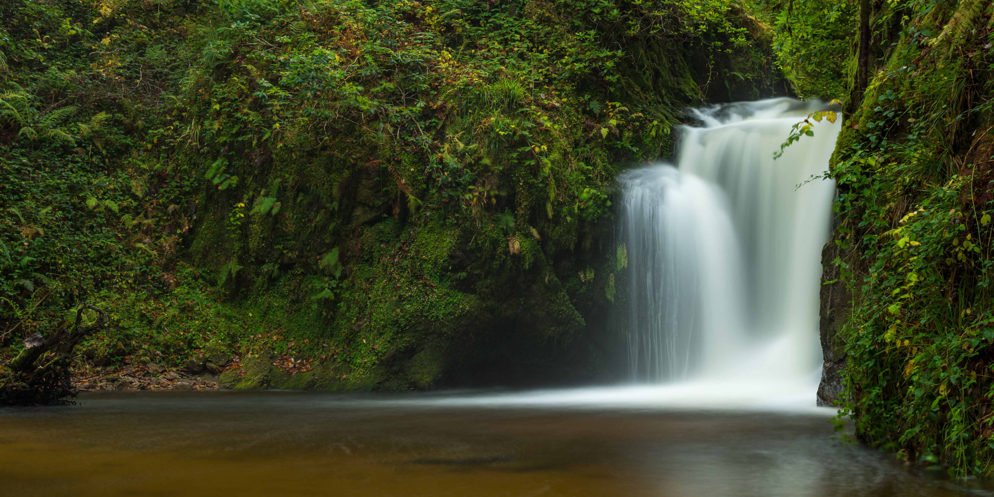 Nikon AF-S Nikkor 24-70mm F2.8G ED sample photo. Welcome to the jungle photography