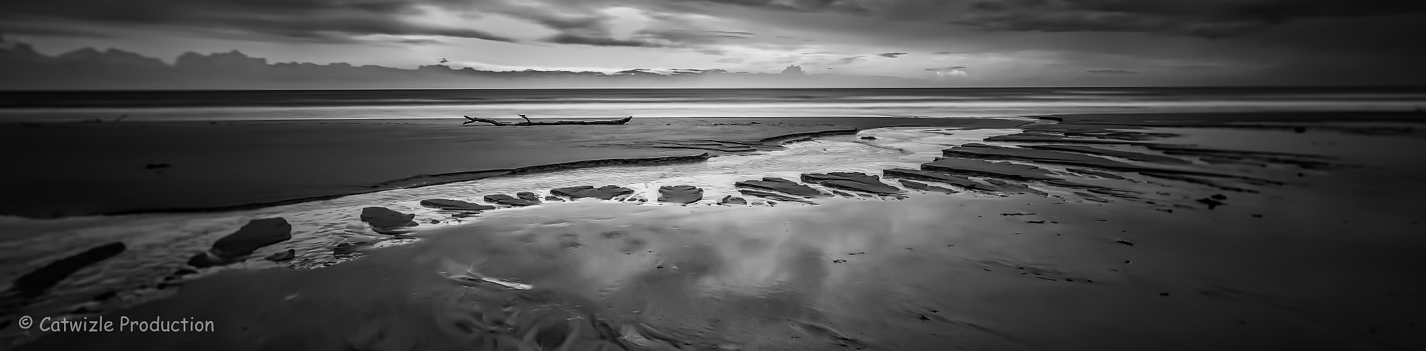 Canon EF 17-40mm F4L USM sample photo. Driftwood photography