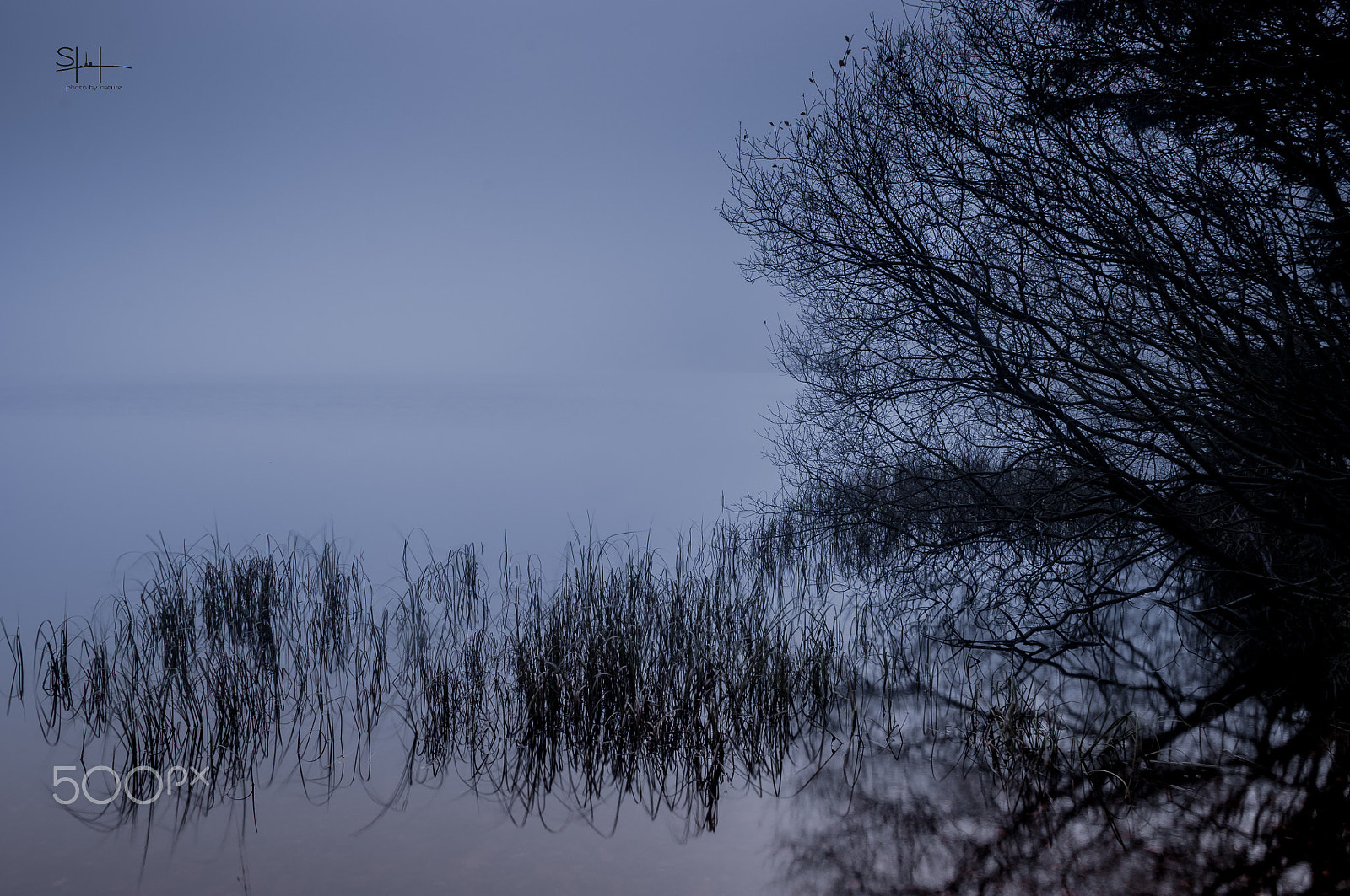 Sigma 18-50mm F2.8-4.5 DC OS HSM sample photo. November rain photography