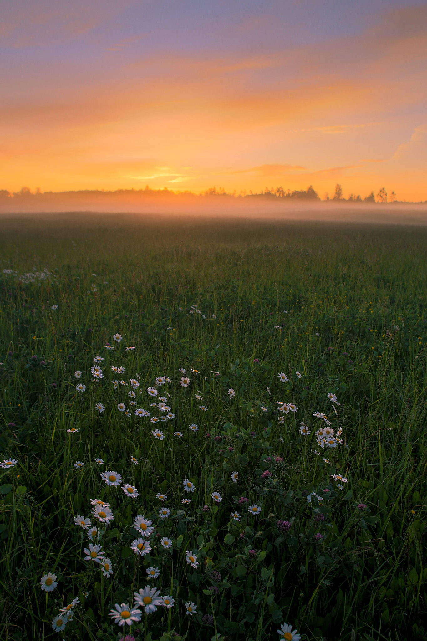 Canon EF 17-35mm f/2.8L + 1.4x sample photo. Colourful morning photography