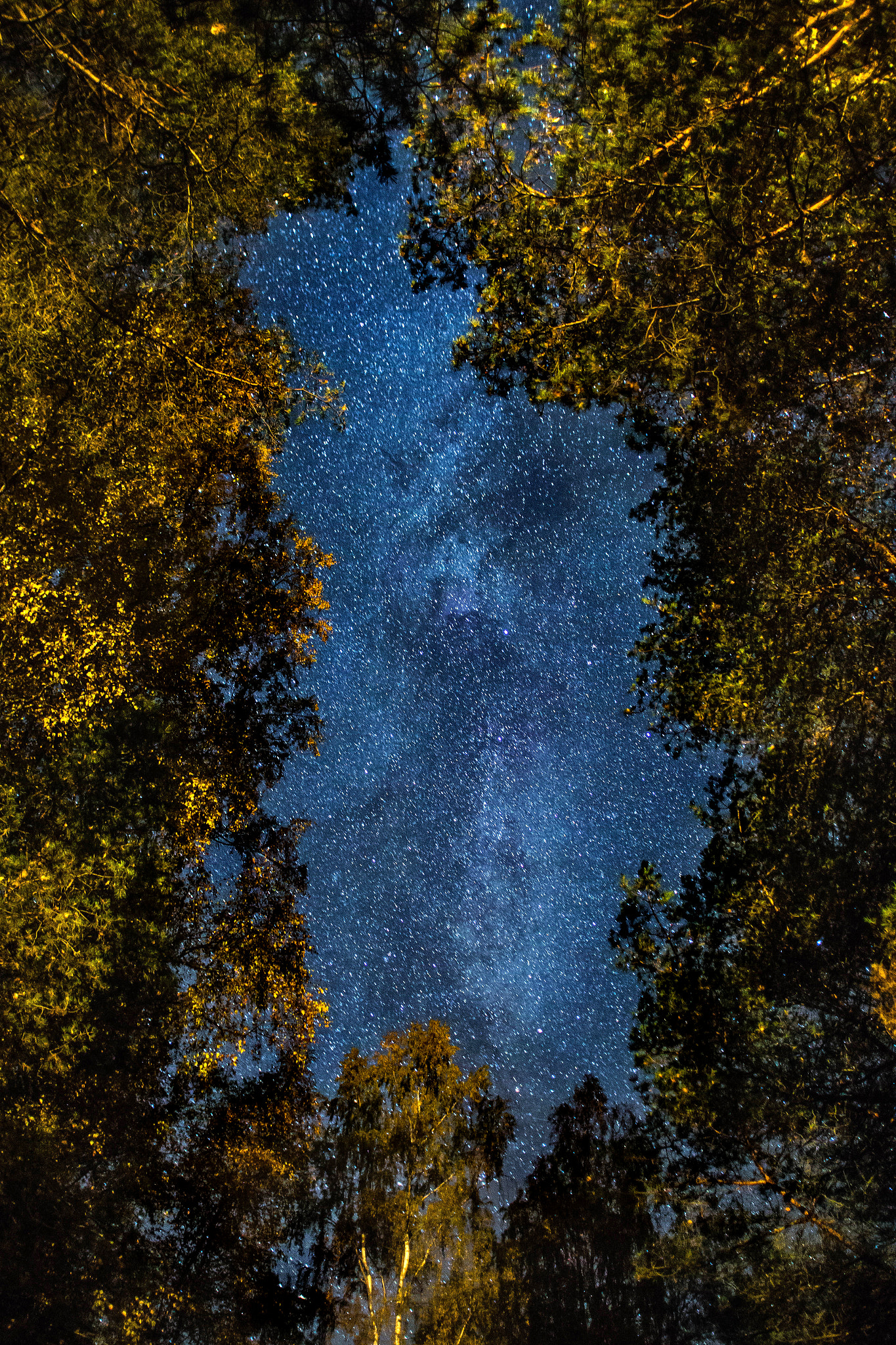 Canon EF 17-35mm f/2.8L + 1.4x sample photo. Starry ceiling photography