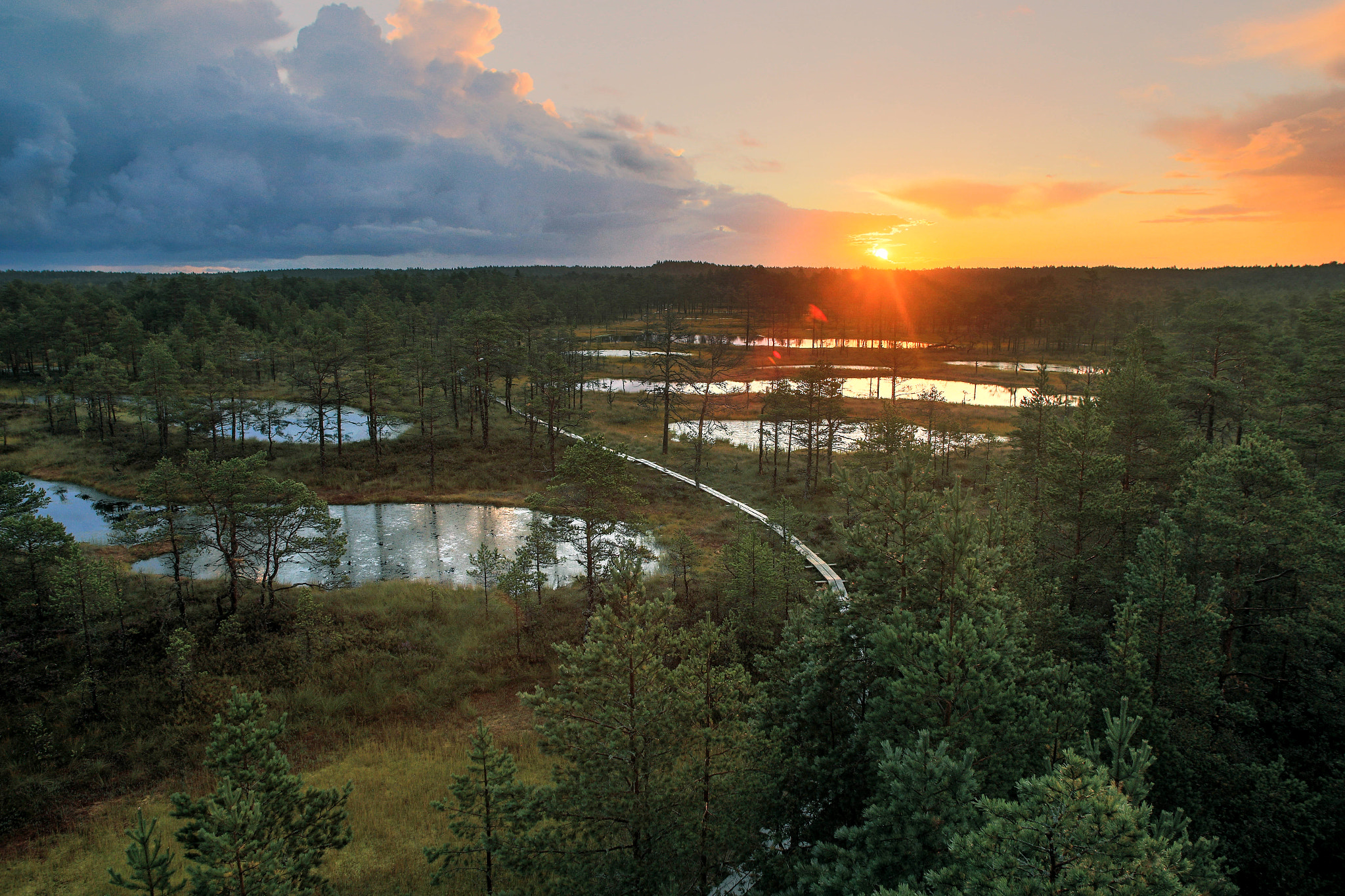 Canon EF 17-35mm f/2.8L + 1.4x sample photo. Viru bog, estonia photography