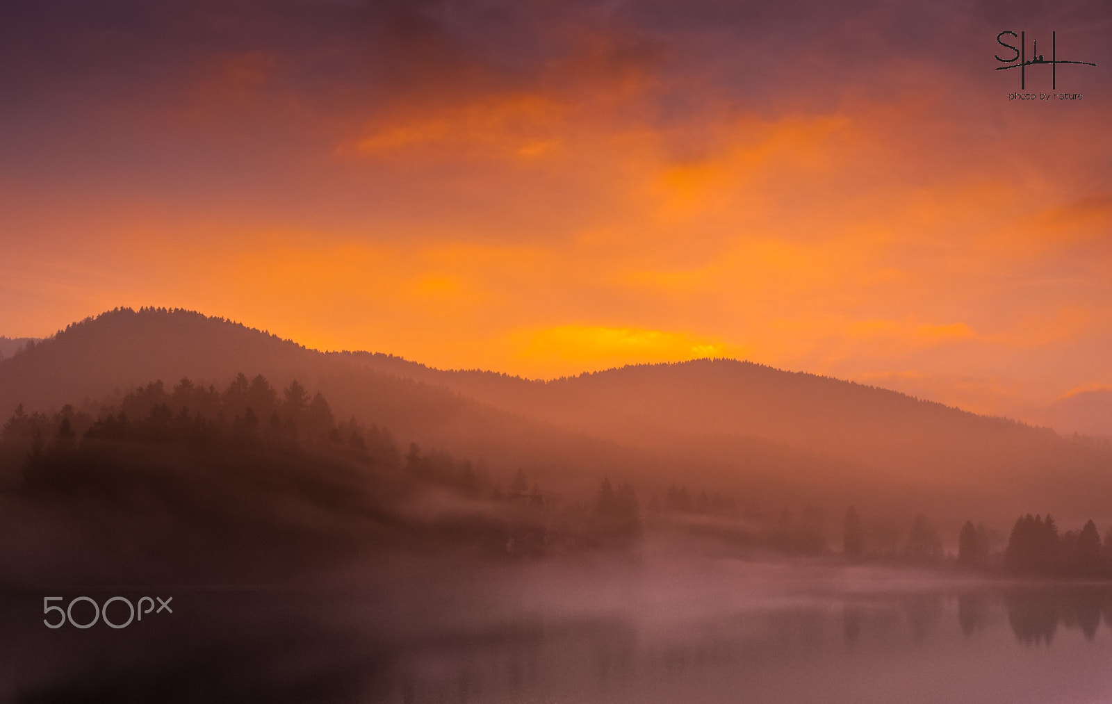 Sigma 18-50mm F2.8-4.5 DC OS HSM sample photo. Morning nature photography