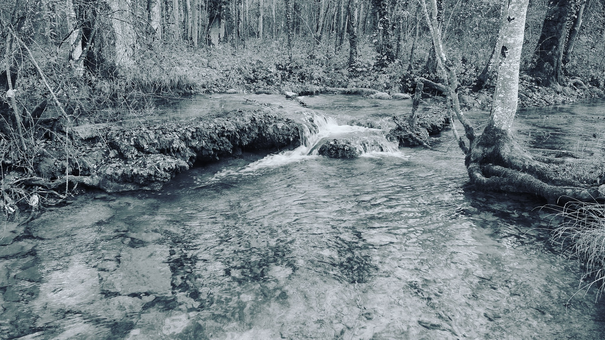 Olympus M.Zuiko Digital 14-42mm F3.5-5.6 II R sample photo. Blackandwhite water forest river photography