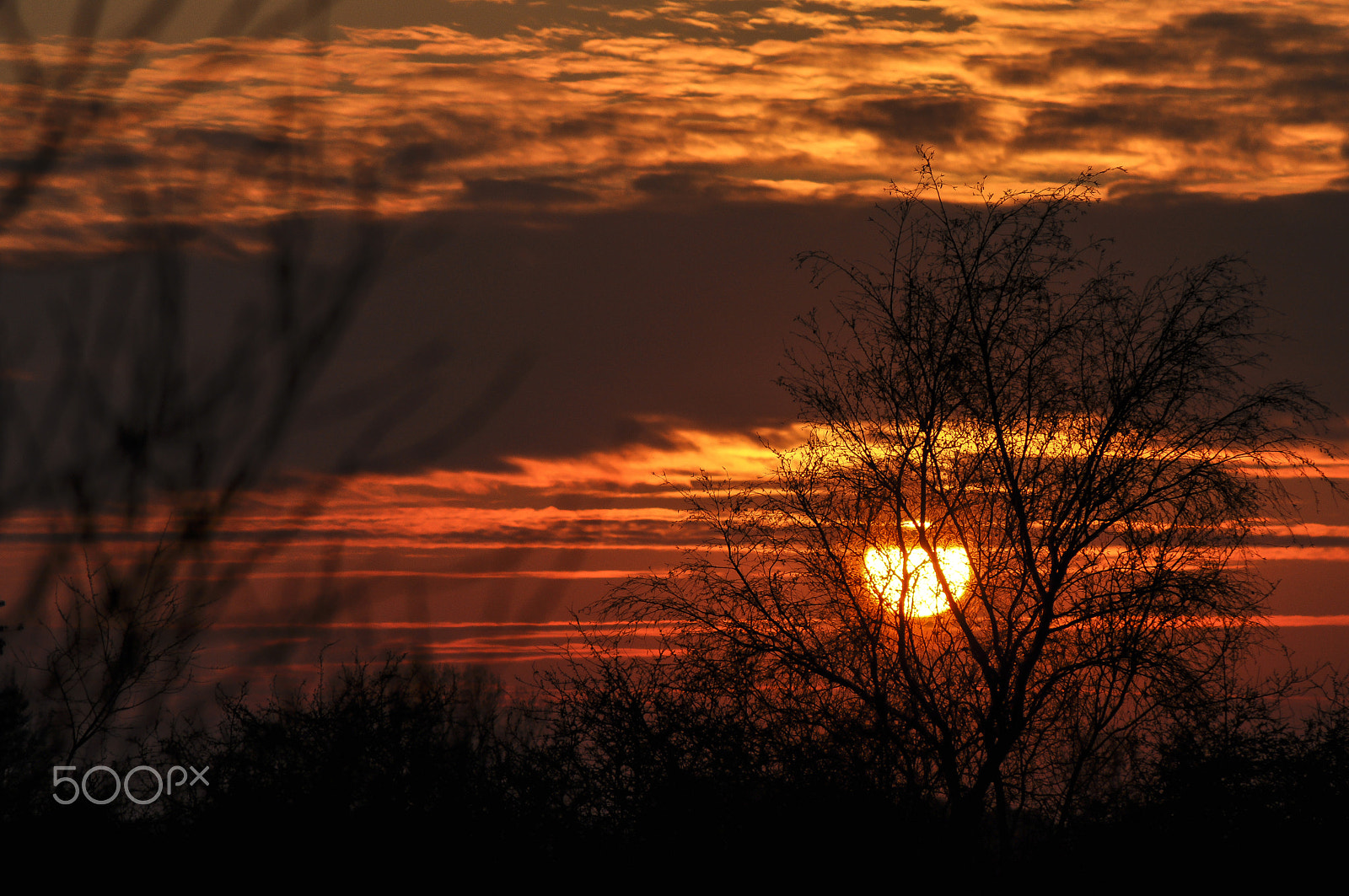 Nikon D5000 sample photo. Warm autumn glow 2 photography