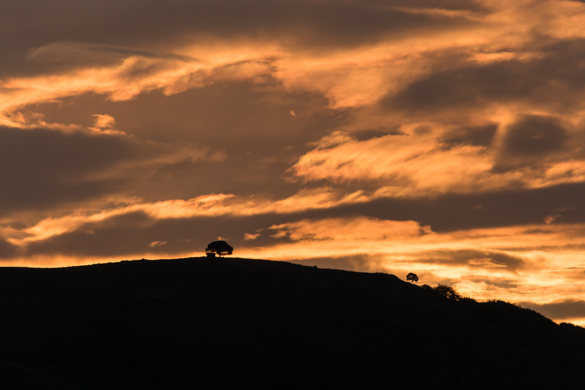 Sony 300mm F2.8 G SSM II sample photo. Autumn morning photography